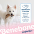 Benebone Made in USA Real Bacon Flavored Wishbone and Rubber Bone Puppy Dog Chew Toy - Tiny - 2 Pack