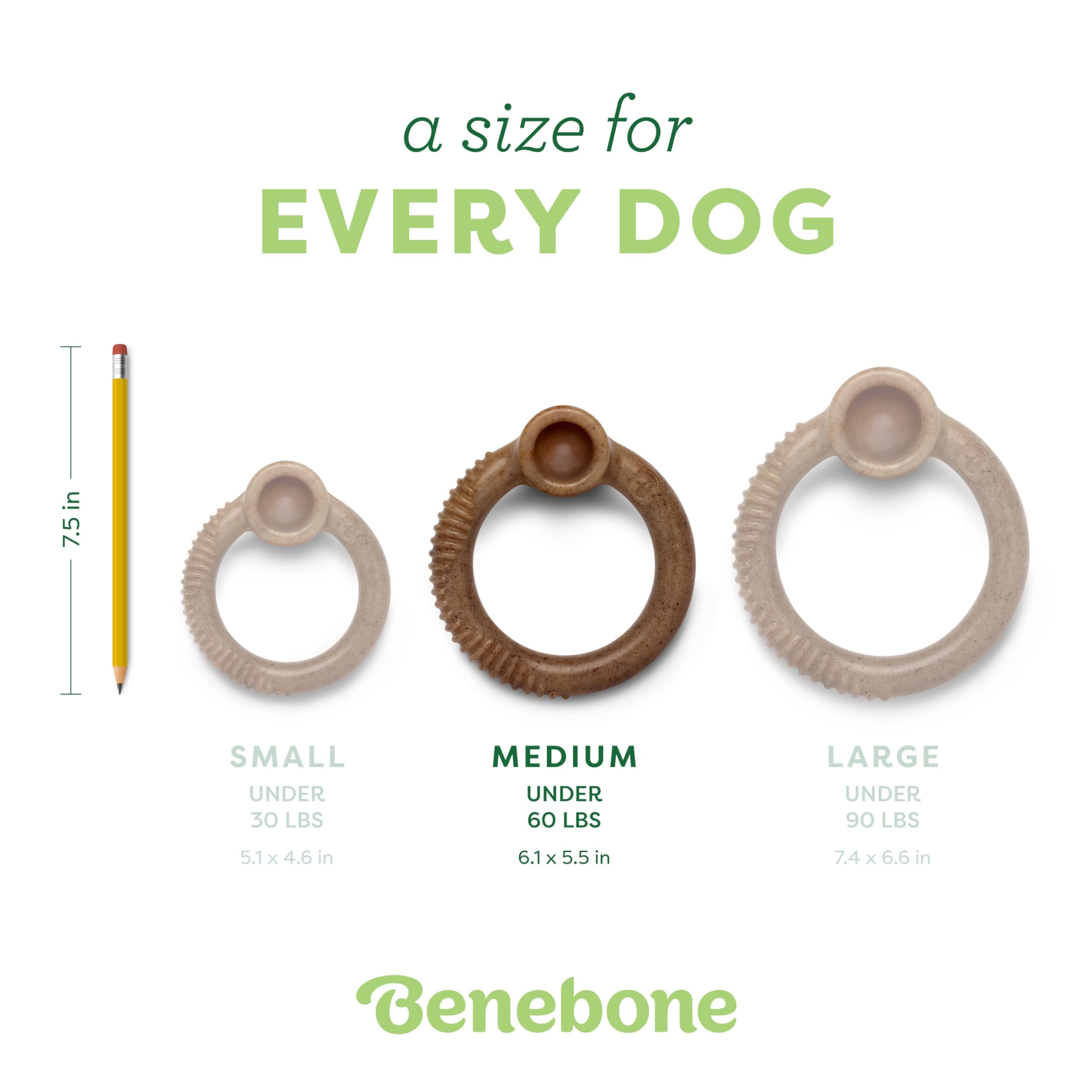Benebone Ring Made in USA Real Bacon Flavored Durable Chew Dog Toy