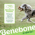 Benebone Tripe Bone Made in USA Real Beef Tripe Flavored Durable Chew Dog Toy