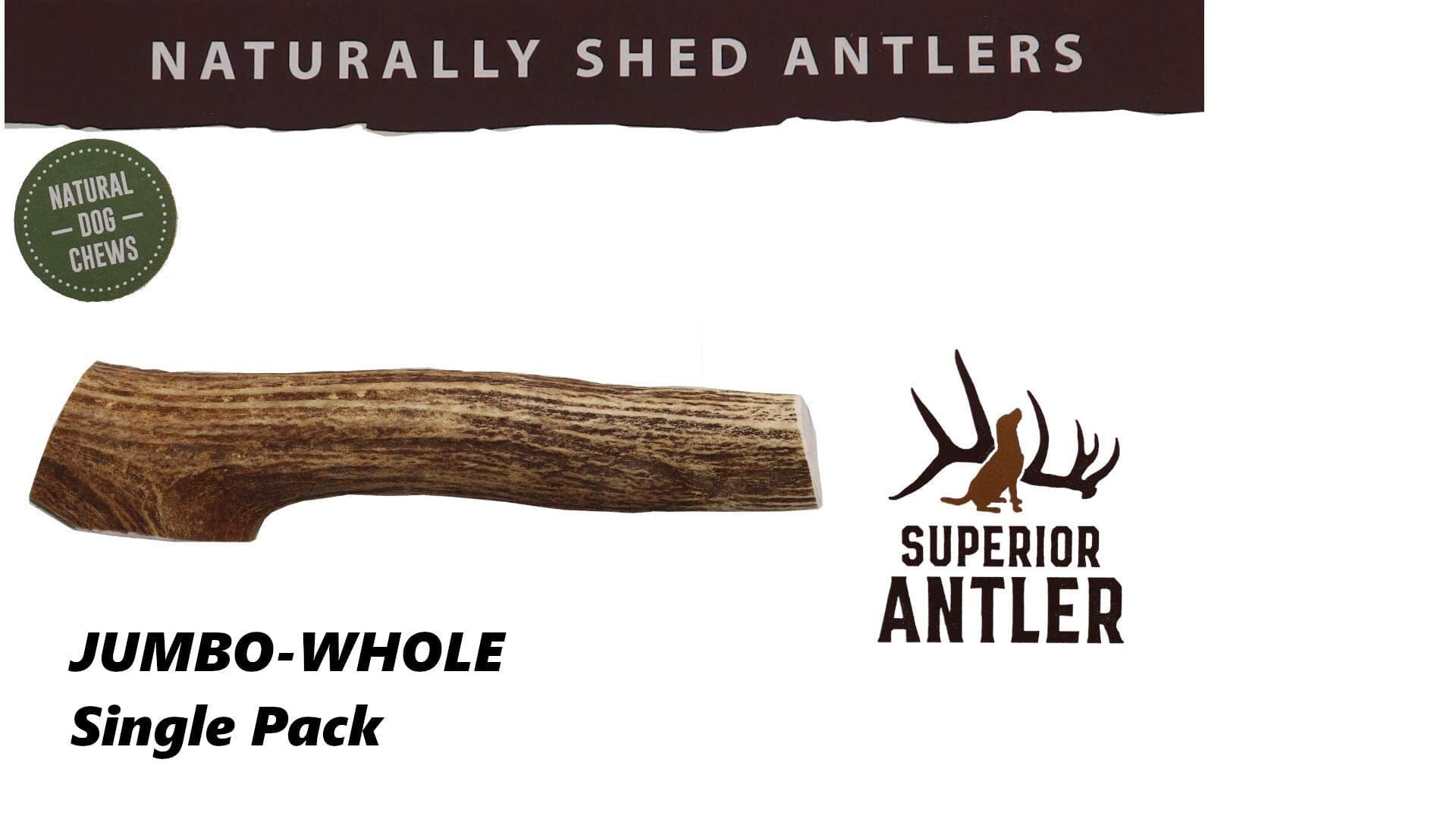 Best Buy Bones USA Jumbo Elk Antler - 9-11 Inch  