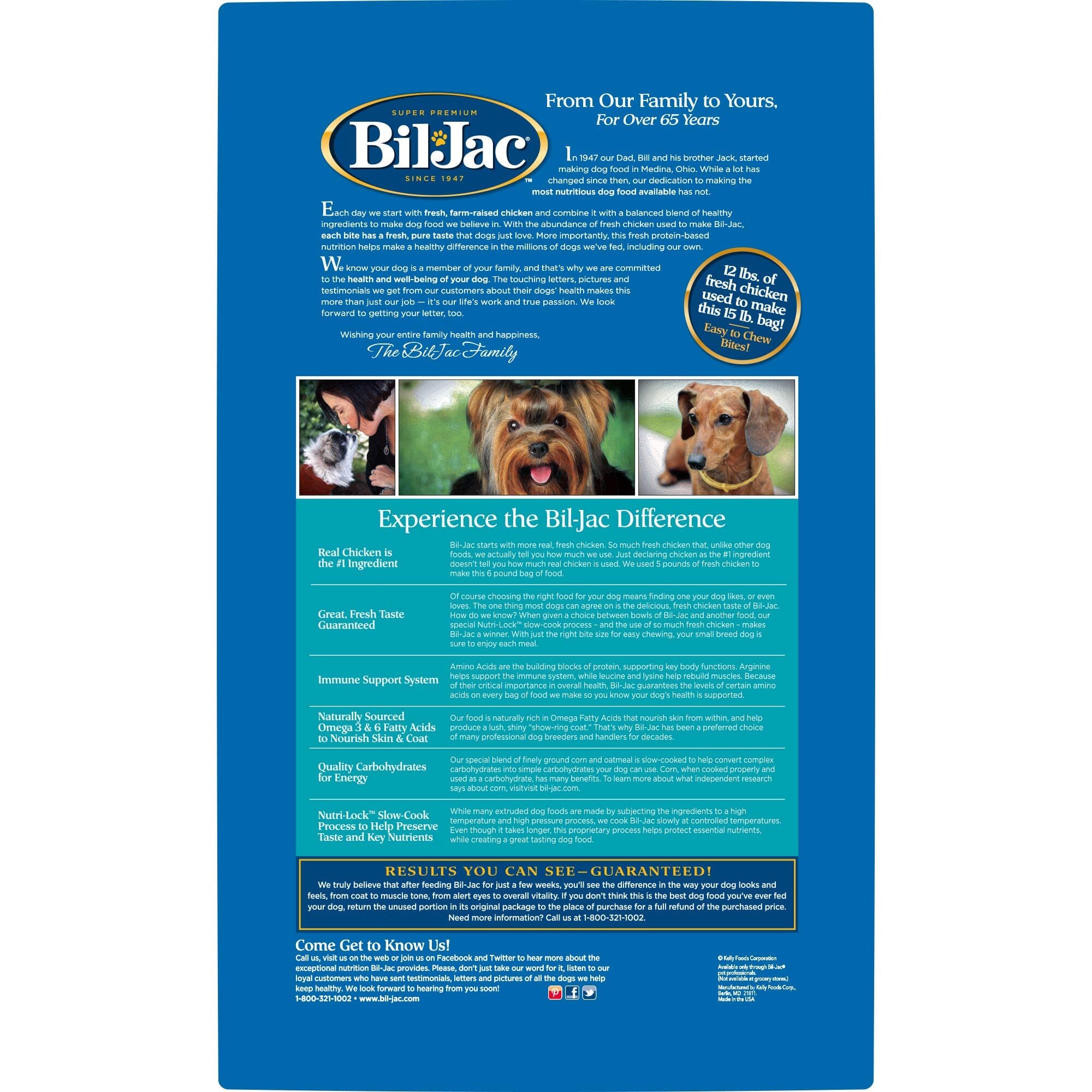 Bil-Jac Chicken and Oatmeal Senior Dry Dog Food - 15 Lbs  