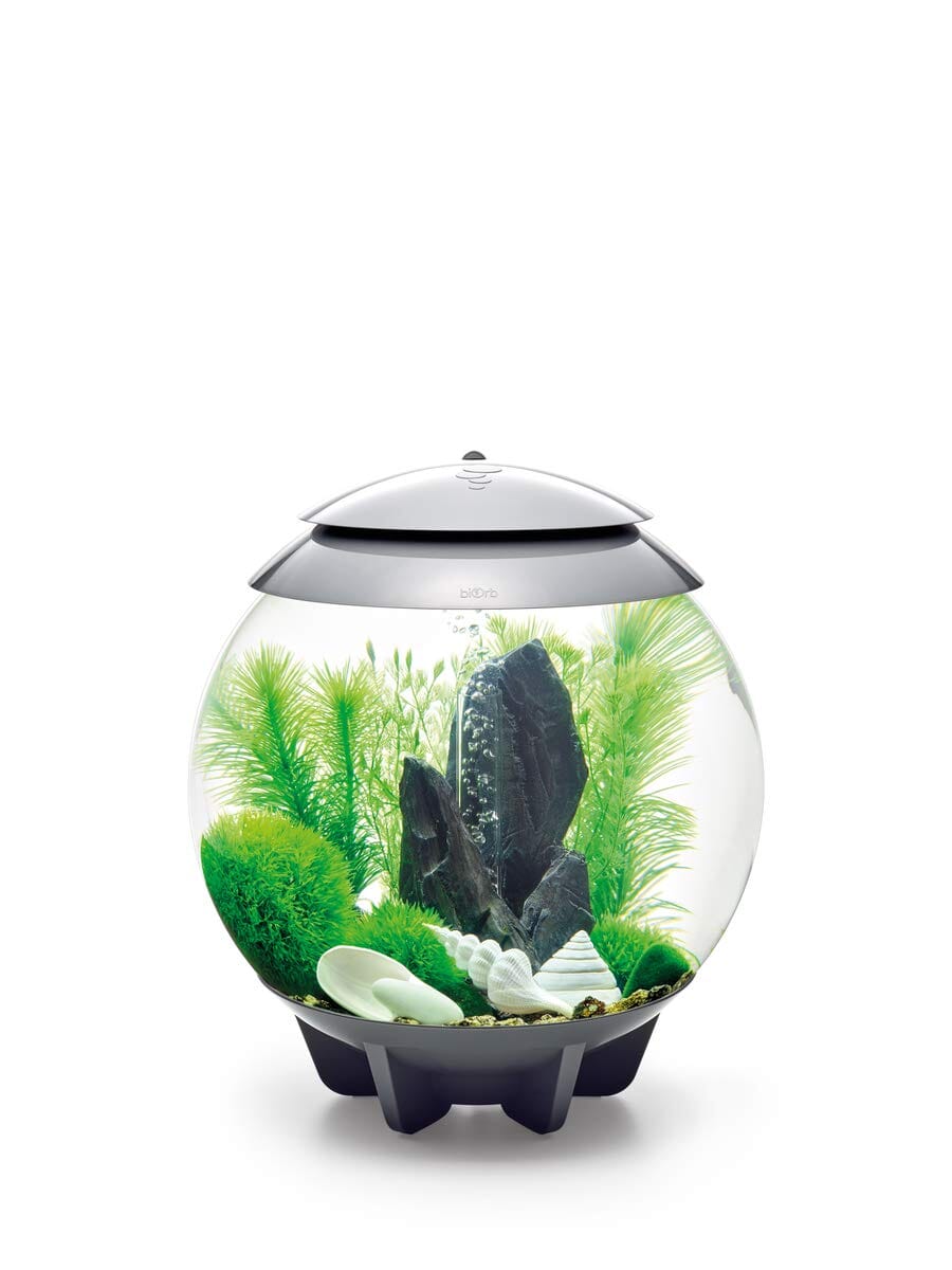 Biorb Aquarium Decoration Plant and Rock Kit - Green - Medium - 30L or 8+ Gallons  