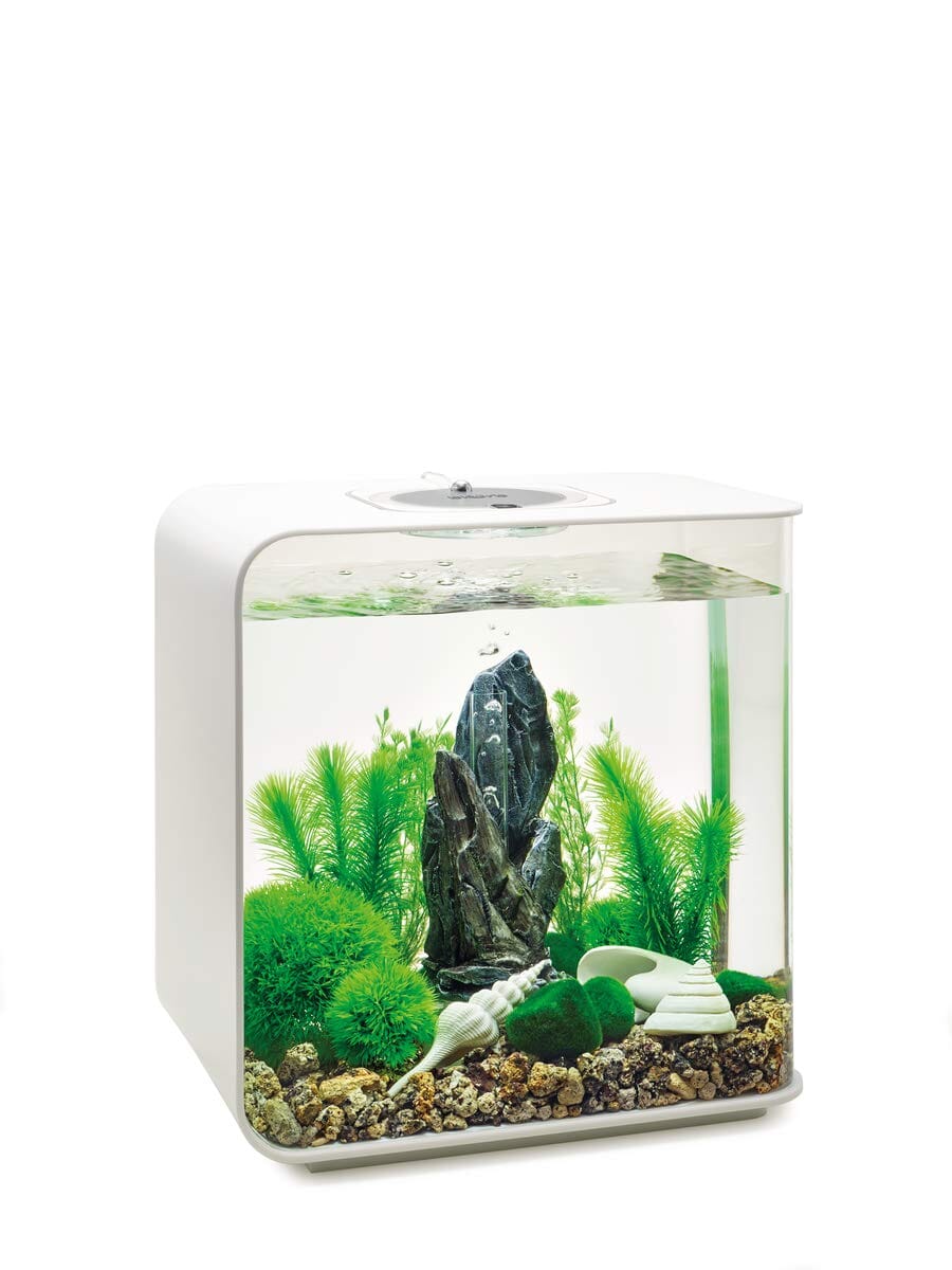 Biorb Aquarium Decoration Plant and Rock Kit - Green - Medium - 30L or 8+ Gallons  