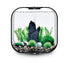 Biorb Aquarium Decoration Plant and Rock Kit - Green - Medium - 30L or 8+ Gallons  