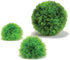 biOrb Aquatic Caulerpa Plastic Aquarium Plant - Green - 3 Pack  