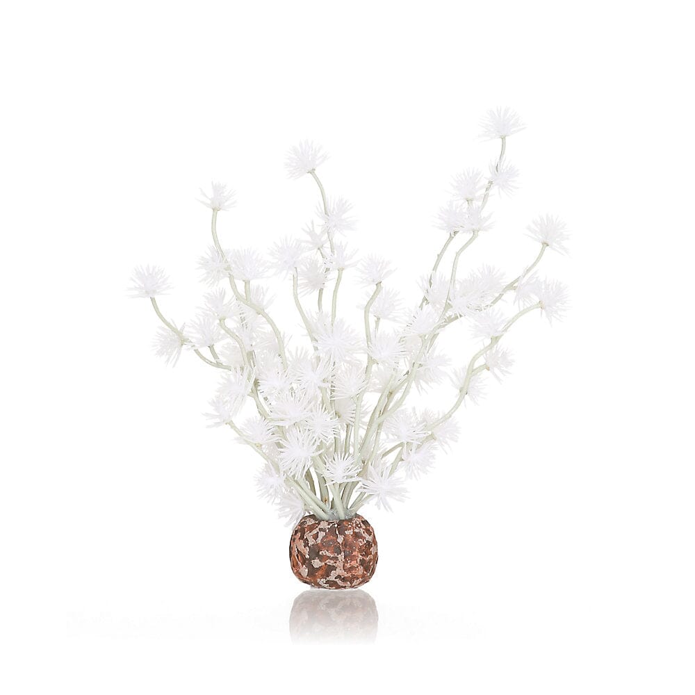 Biorb Bonsai Ball Aquarium Plant Ornament - White - Small  