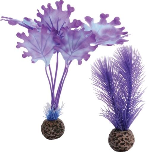 Biorb Kelp Plant Aquarium Ornament - Purple - Small  