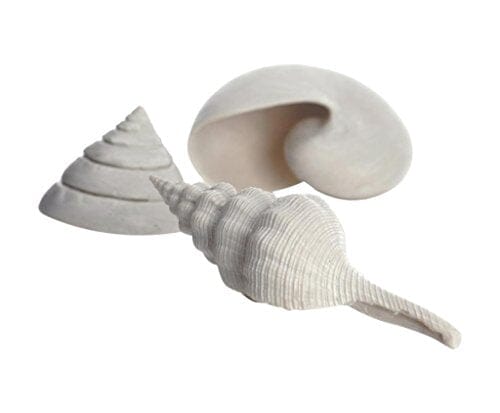 Biorb Sea Shell on Barnacles Aquarium Ornament - White - Small  