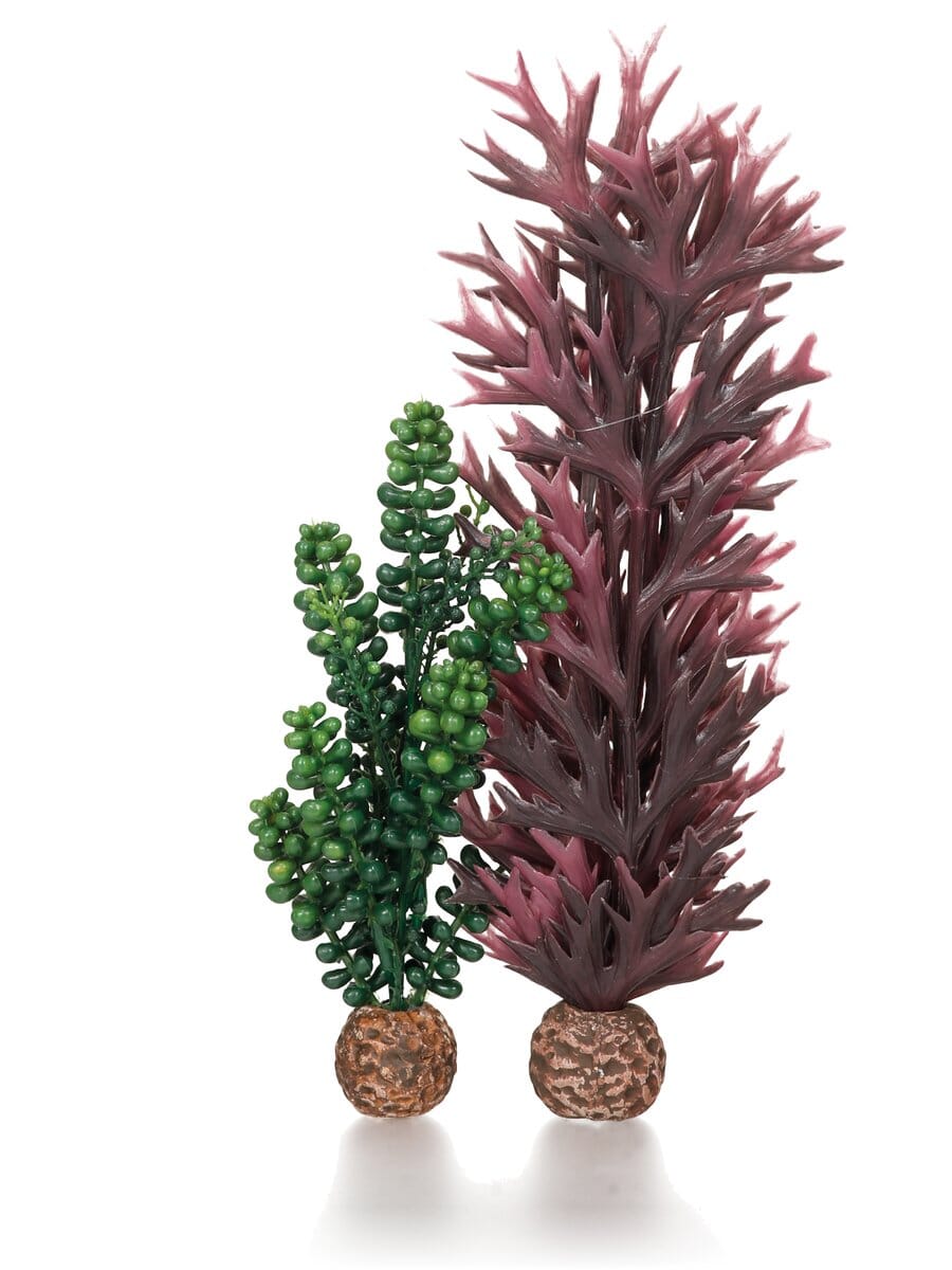Biorb Seapearls and Kelp Aquarium Ornament - Medium  
