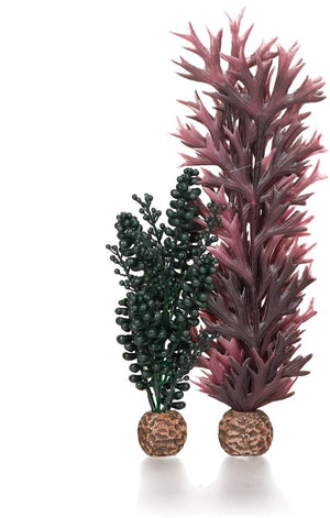 Biorb Seapearls and Kelp Aquarium Ornament - Small