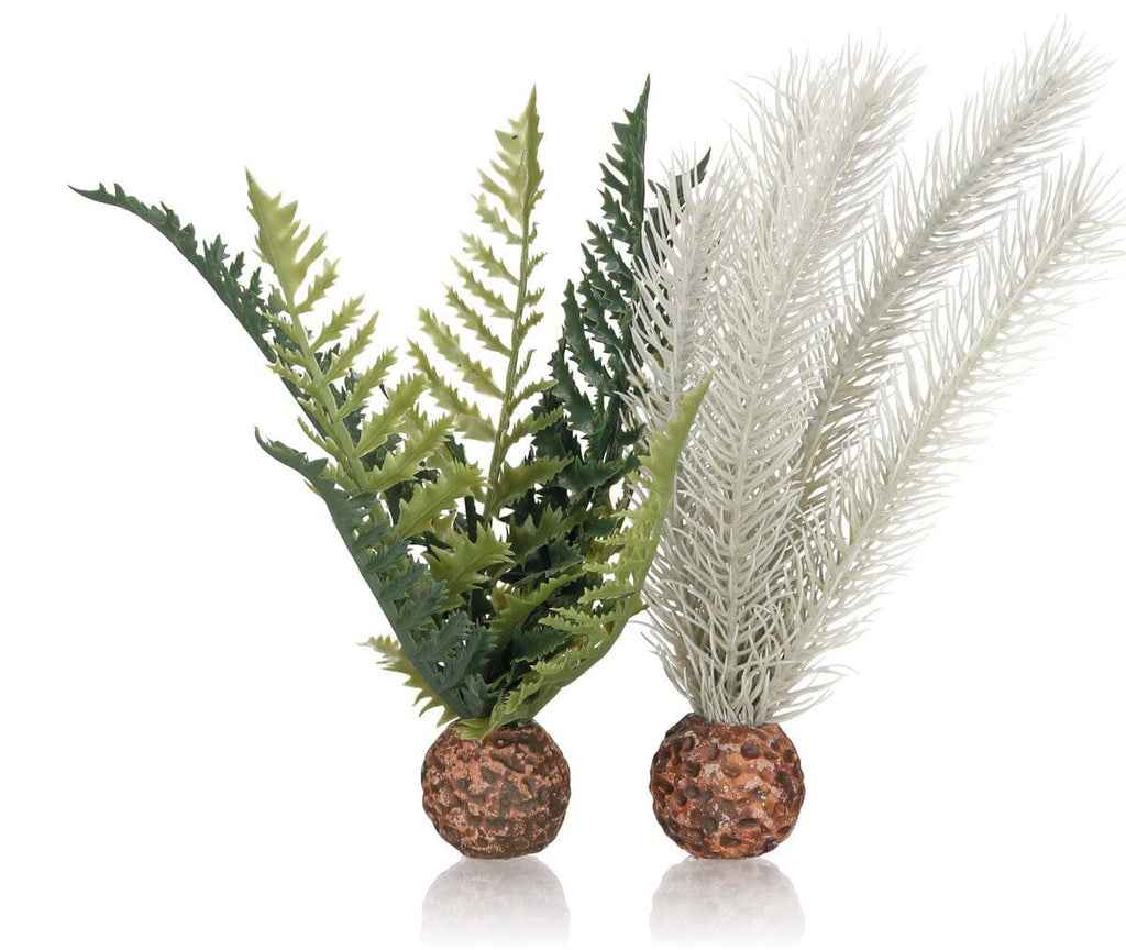 Biorb Thistle Thorn Plant Aquarium Ornaments - Gray/Green - Small - 2 Count  