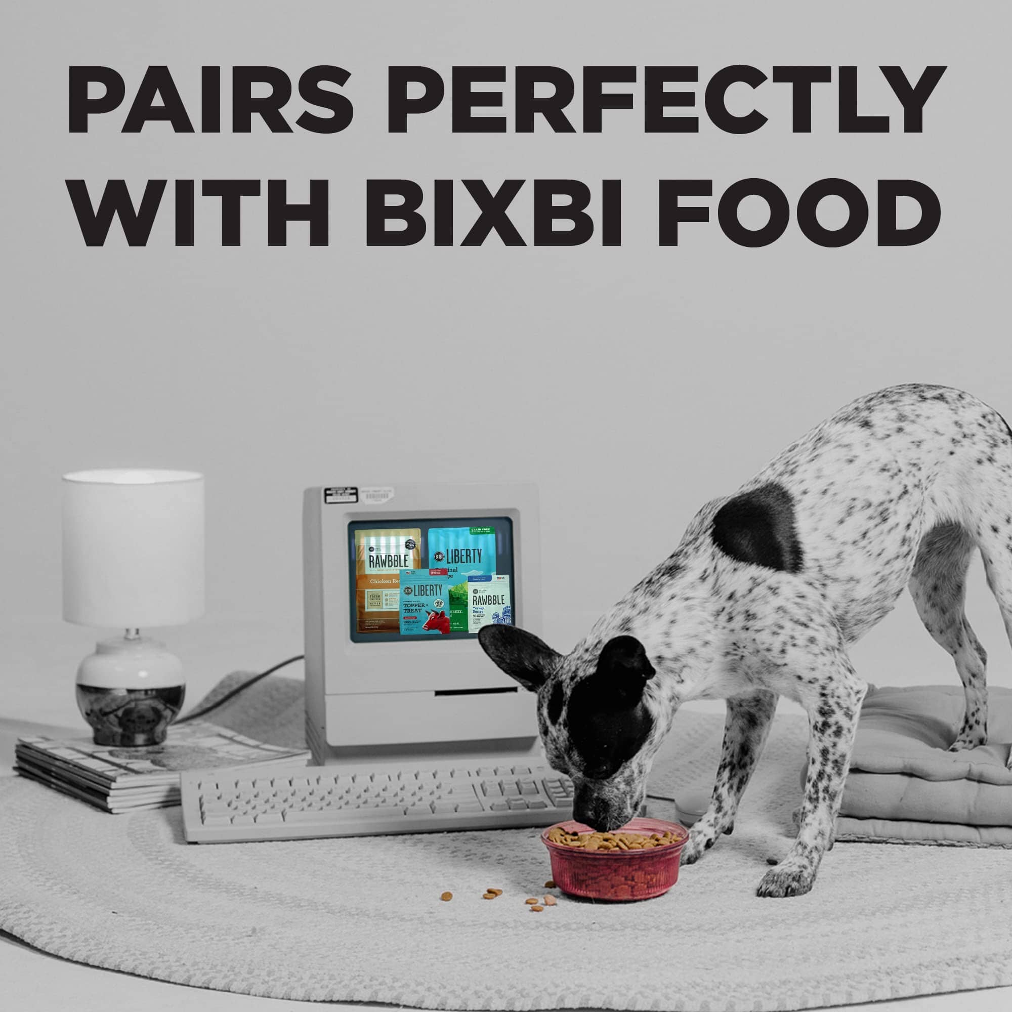 Bixbi Bark Pops Rotisserie Chicken Crunchy Dog Treats - 4 Oz  