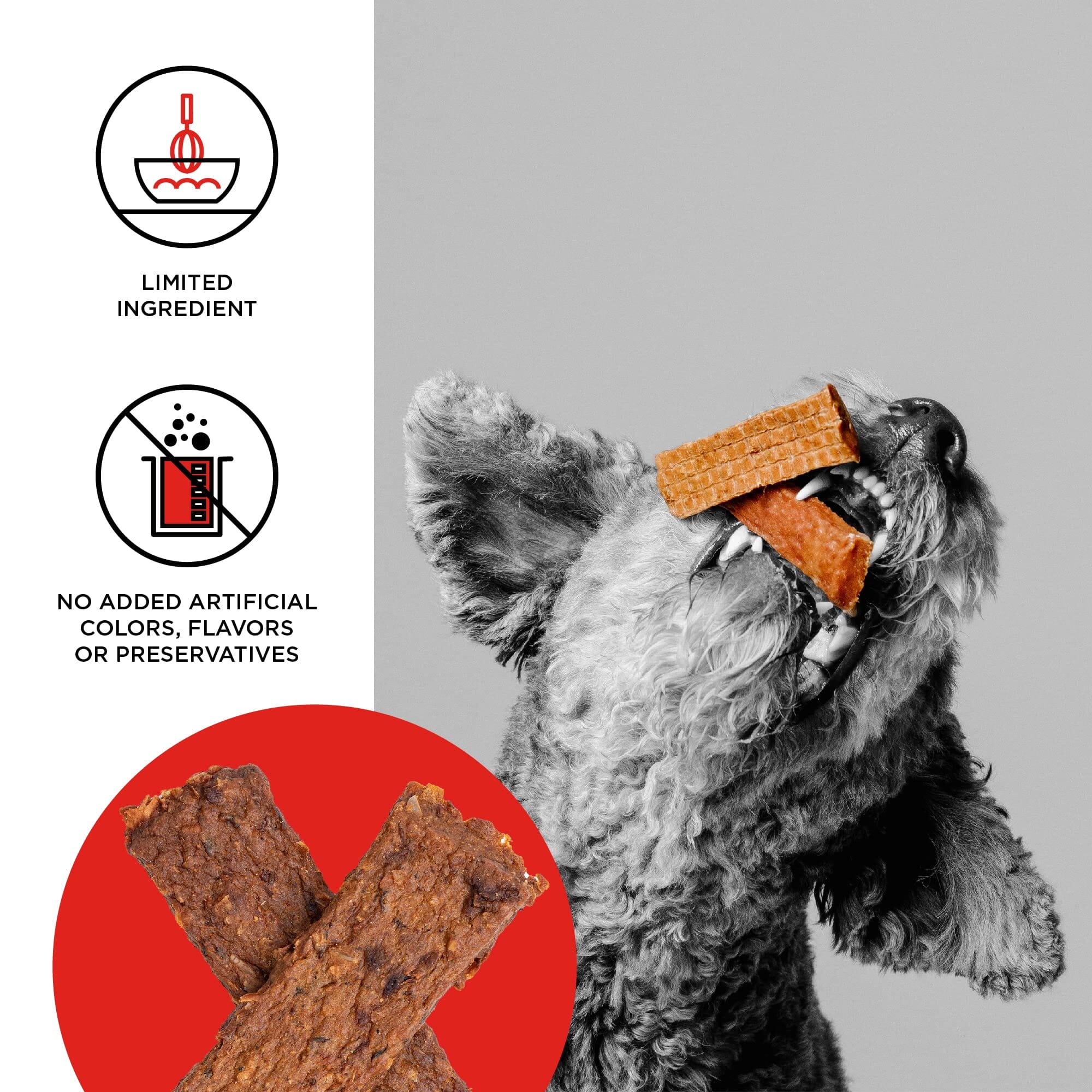 Bixbi Original Beef Lung Jerky Dog Treats - 10 Oz  