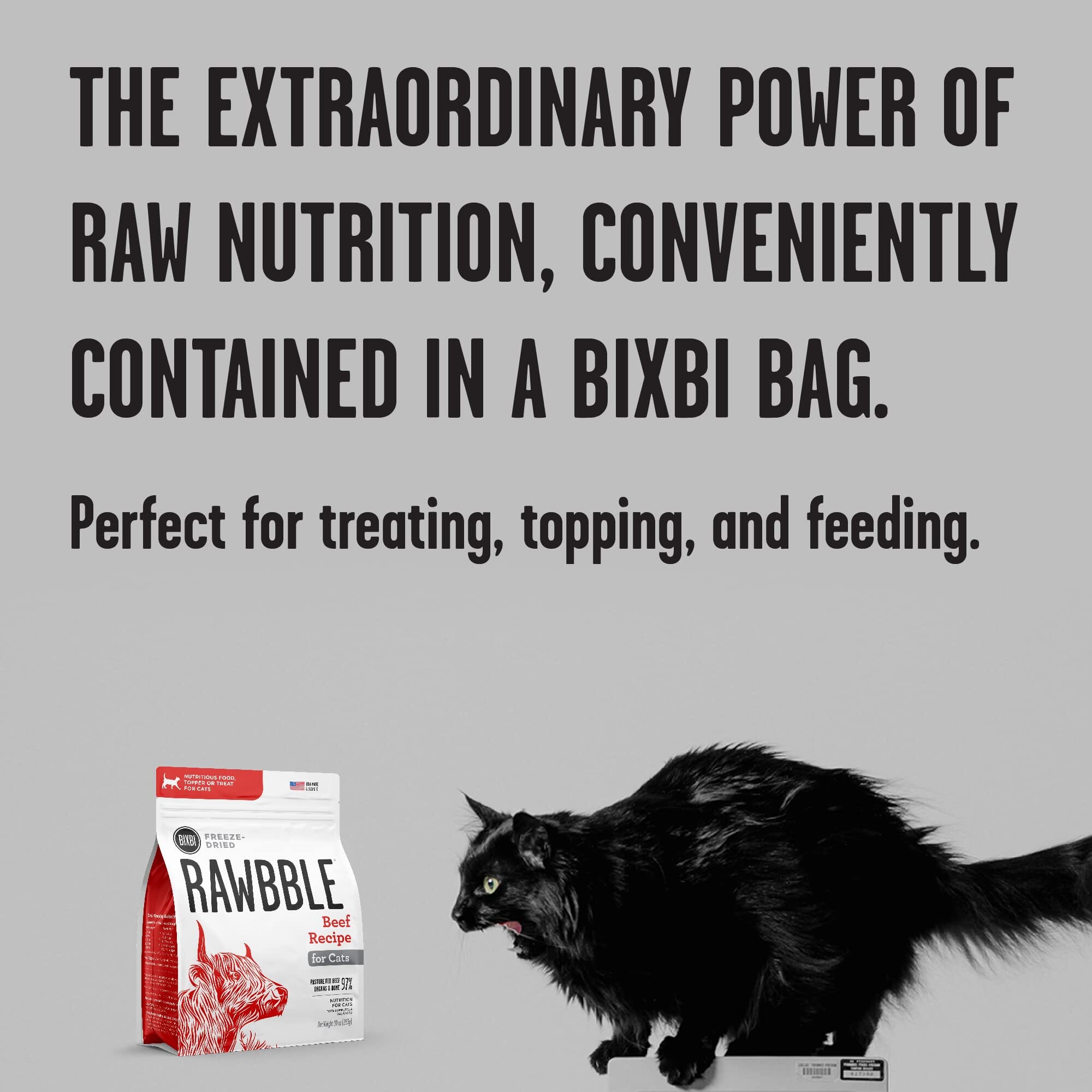 Bixbi Rawbble Beef Recipe Freeze-Dried Cat Food - 10 Oz  