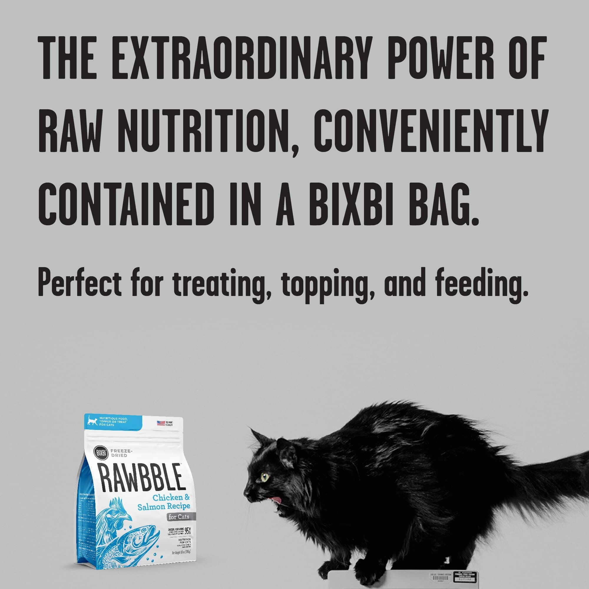 Bixbi Rawbble Chicken and Salmon Freeze-Dried Cat Food - 10 Oz  