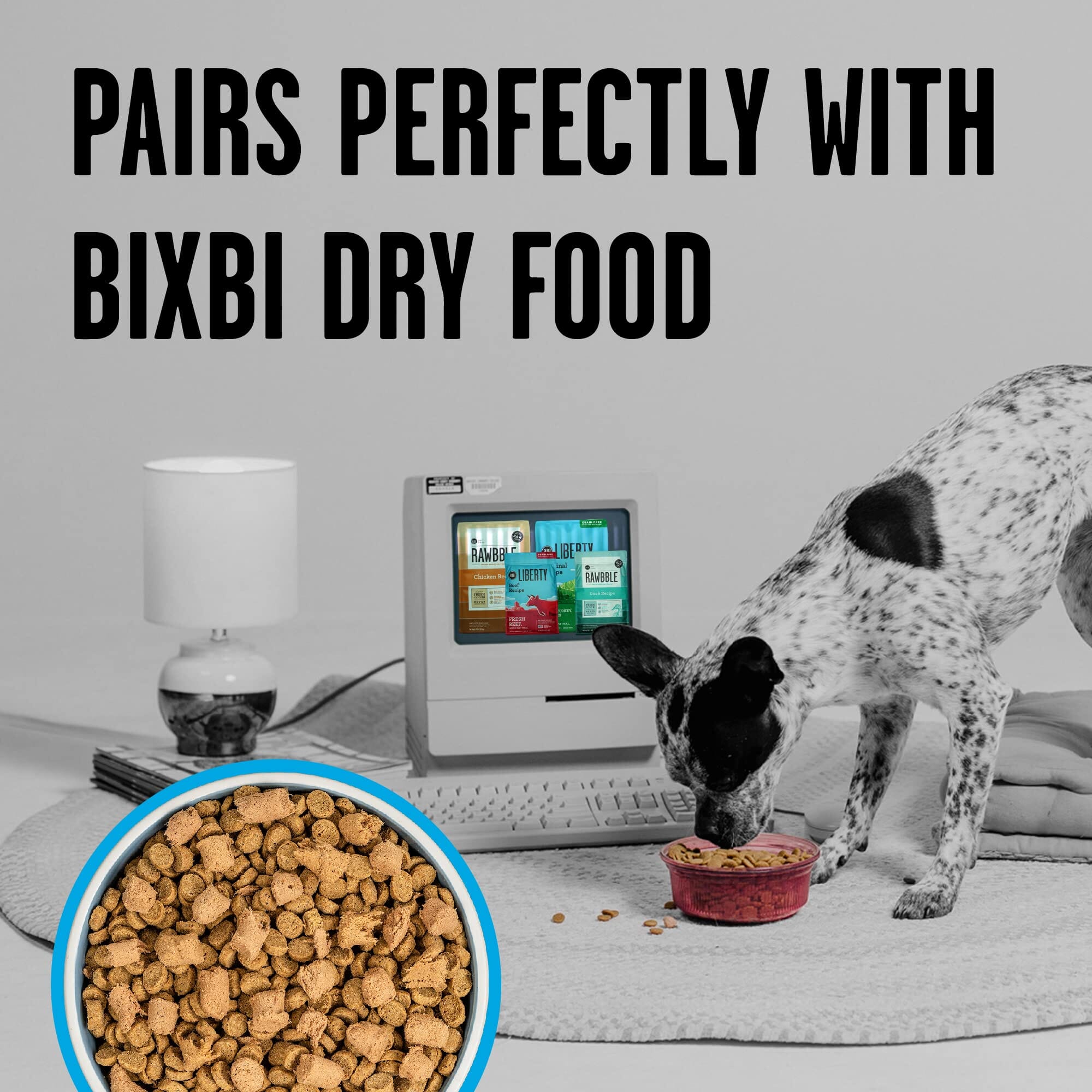 Bixbi Rawbble Chicken and Salmon Freeze-Dried Dog Food - 12 Oz  