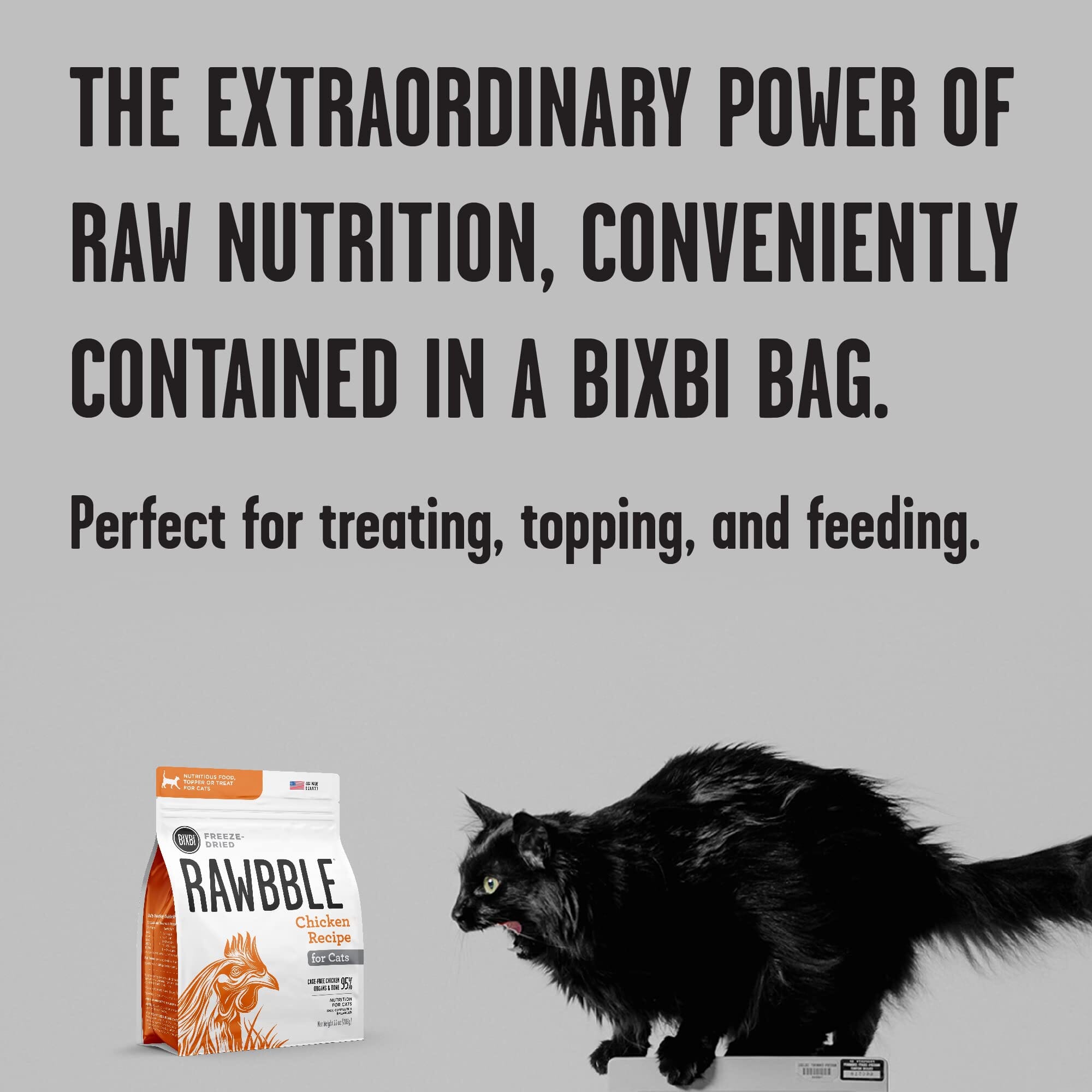 Bixbi Rawbble Chicken Recipe Freeze-Dried Cat Food - 10 Oz  