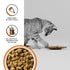 Bixbi Rawbble Chicken Recipe Freeze-Dried Cat Food - 10 Oz  