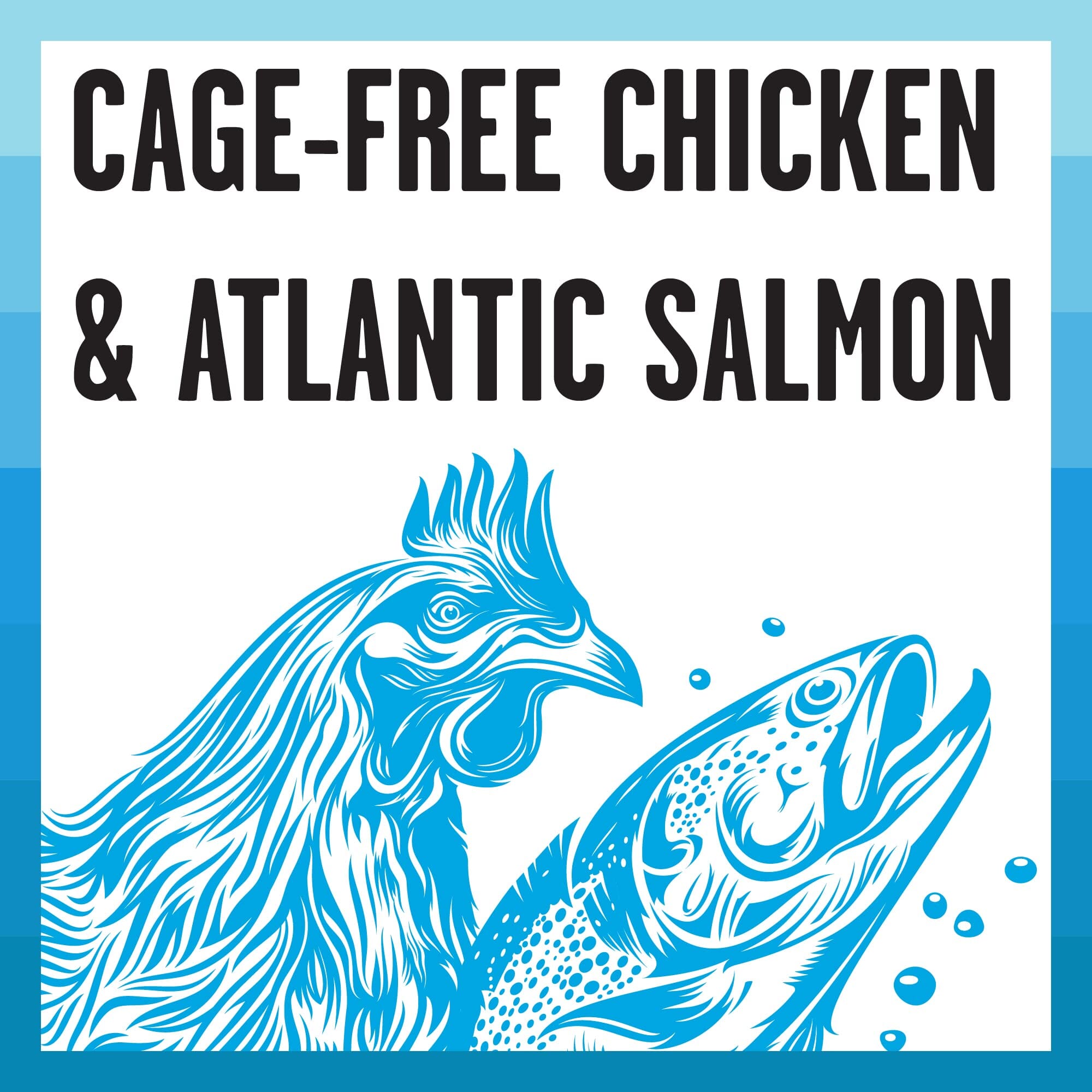 Bixbi Rawbble Salmon Recipe Dry Cat Food - 10 Lbs  