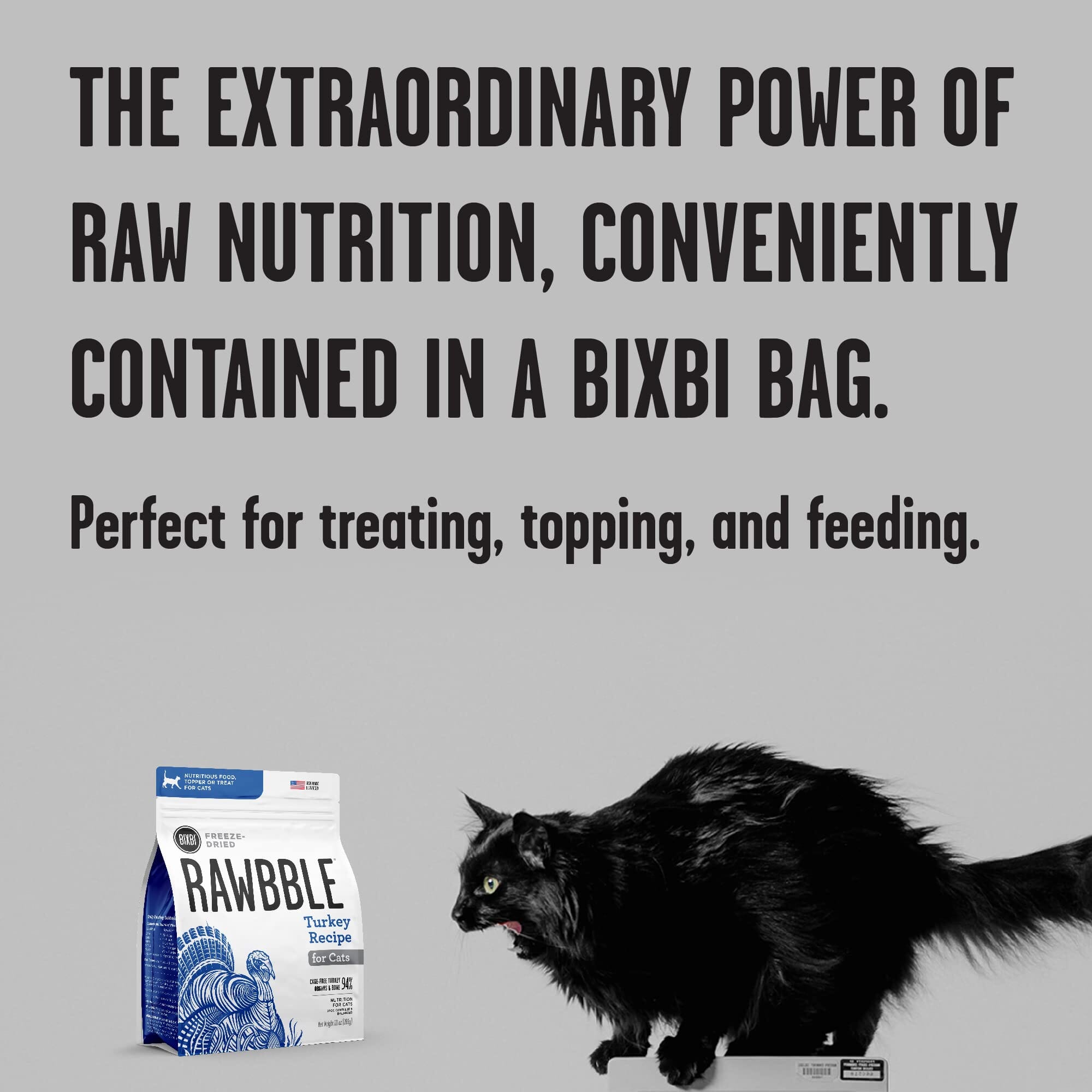 Bixbi Rawbble Turkey Recipe Freeze-Dried Cat Food - 10 Oz  