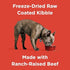 Bixbi Rawbble USA Made Grain-Free Beef Recipe Freeze-Dried Raw Dry Dog Food - 24 Lbs