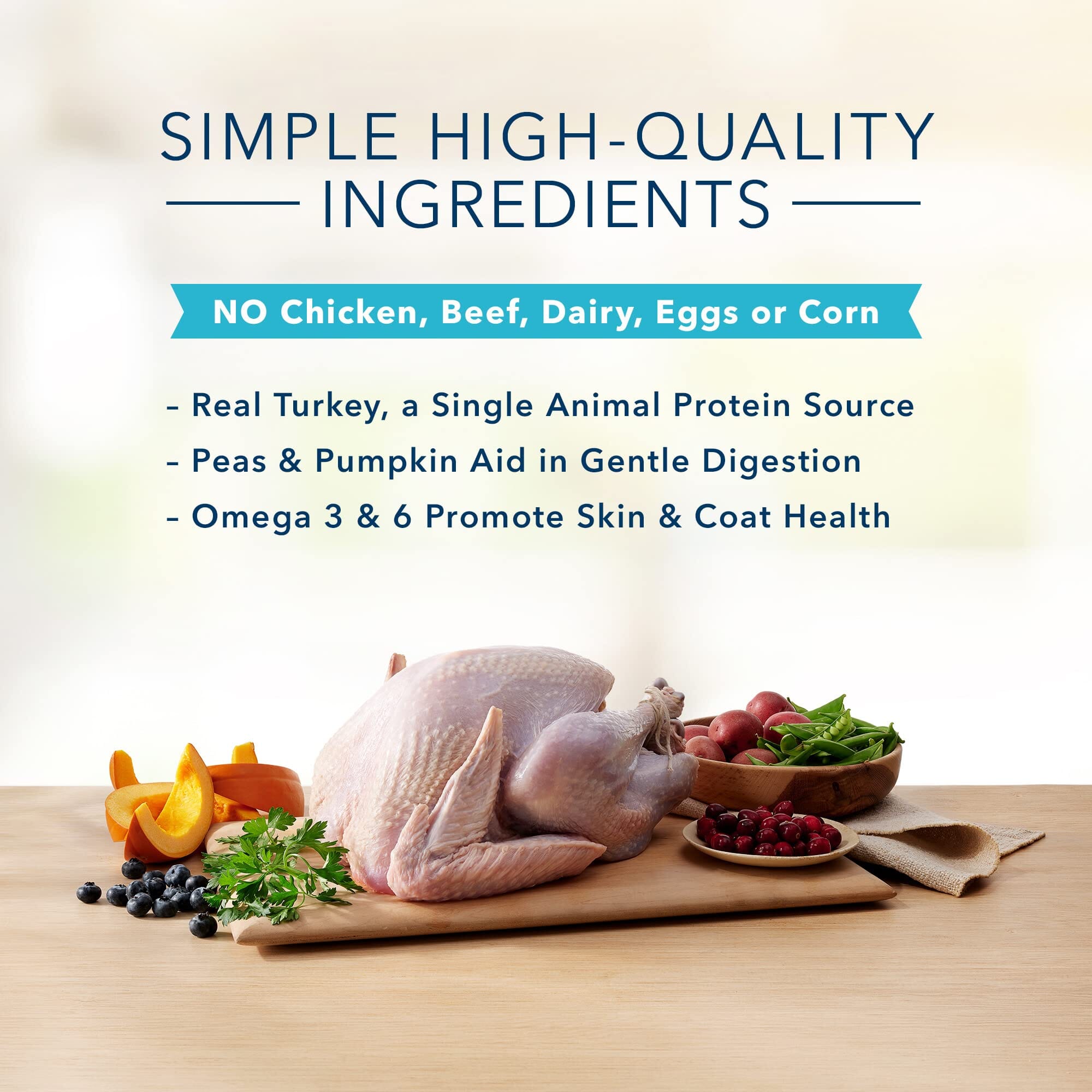 Blue Buffalo Basics Skin and Stomach Adult Grain-Free Turkey and Potato Dry Dog Food  