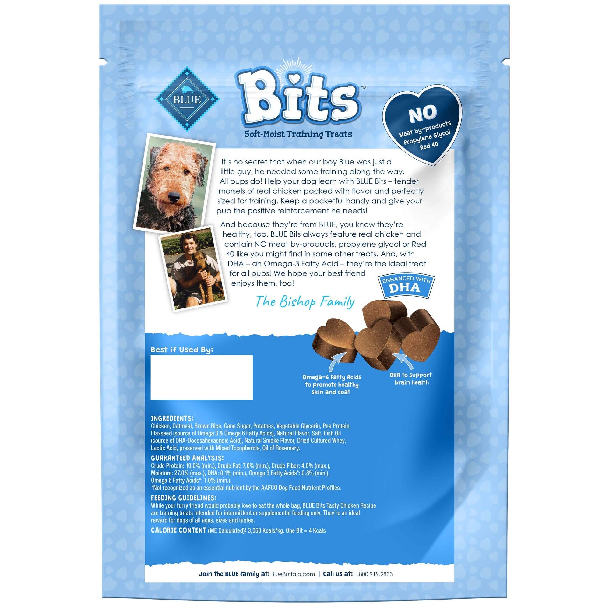 Blue Buffalo Bits Chicken Soft and Chewy Dog Treats - 11 Oz  