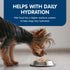 Blue Buffalo Devine Delights NY Strip Steak Pate Wet Dog Food Trays - 3.5 Oz - Case of 12  