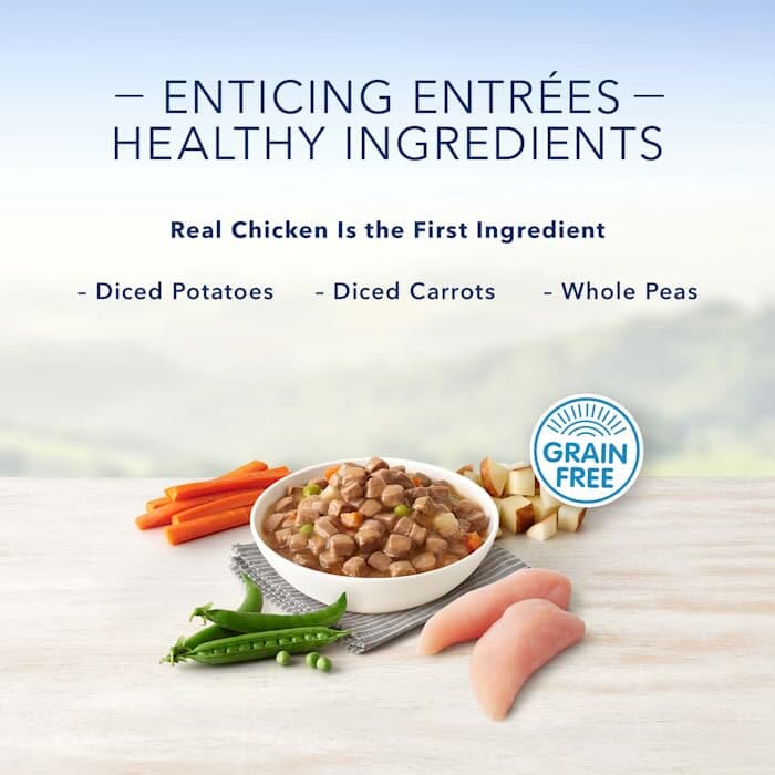 Blue Buffalo Devine Delights Roasted Turkey Wet Dog Food Trays - 3.5 Oz - Case of 12  