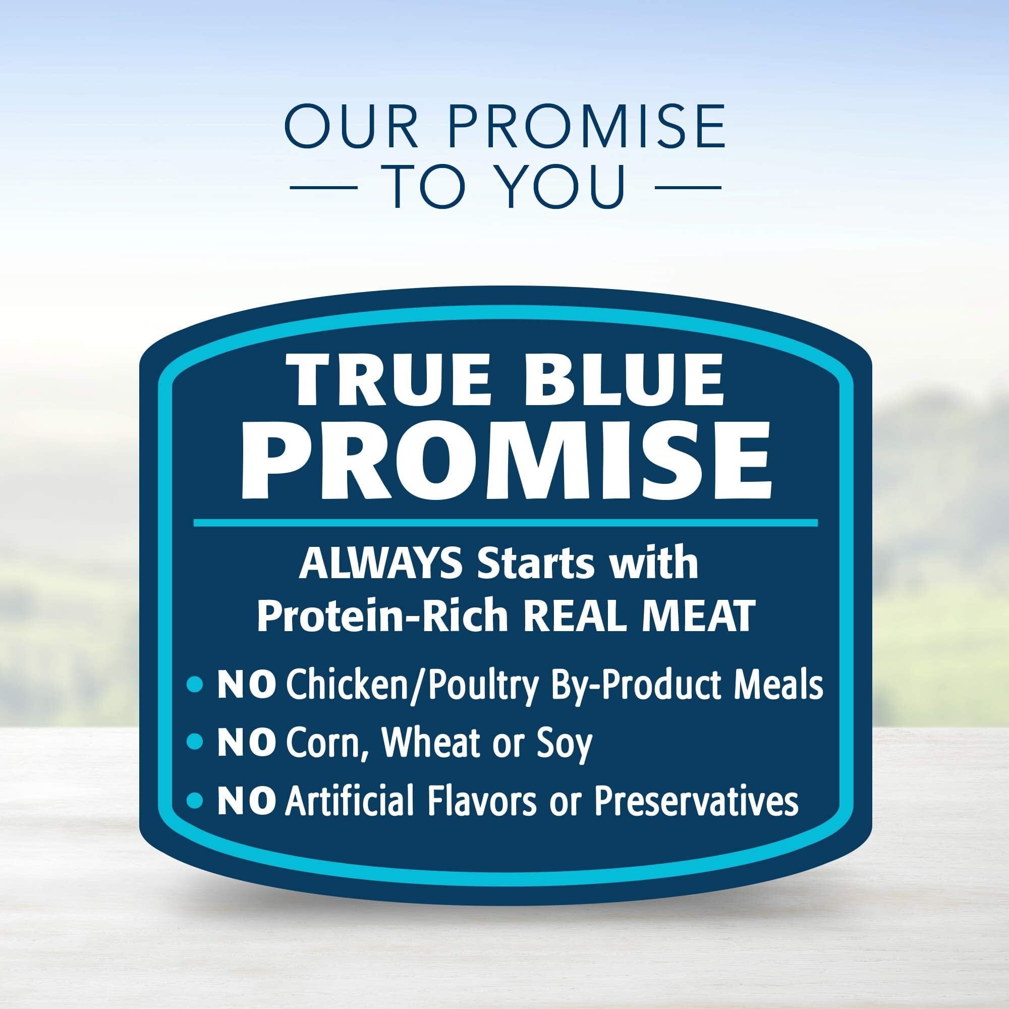 Blue Buffalo Devine Delights Top Sirloin Wet Dog Food Trays - 3.5 Oz - Case of 12  