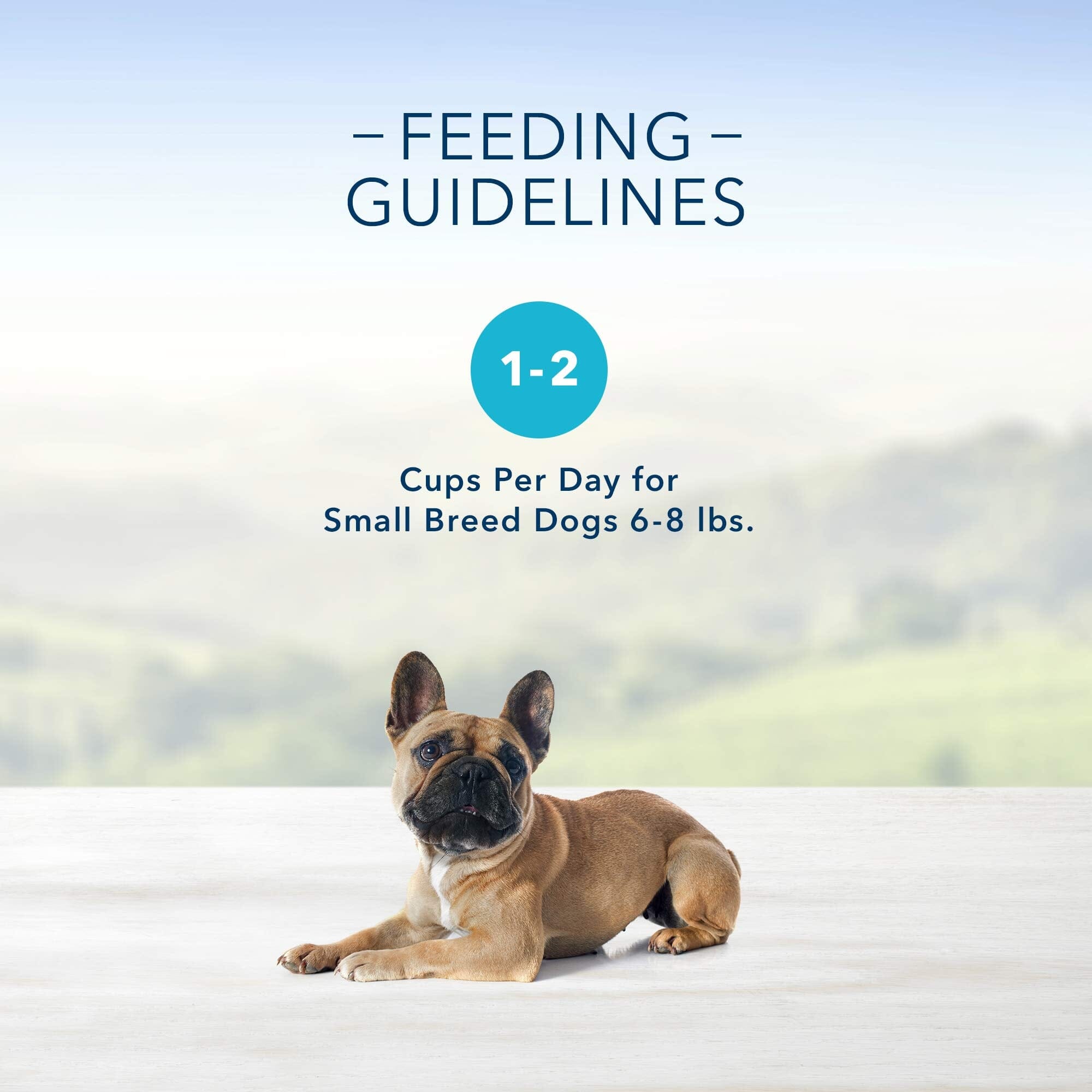 Blue Buffalo Devine Delights Top Sirloin Wet Dog Food Trays - 3.5 Oz - Case of 12  