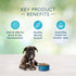 Blue Buffalo Freedom Chicken Puppy Dry Dog Food - 4 Lbs  