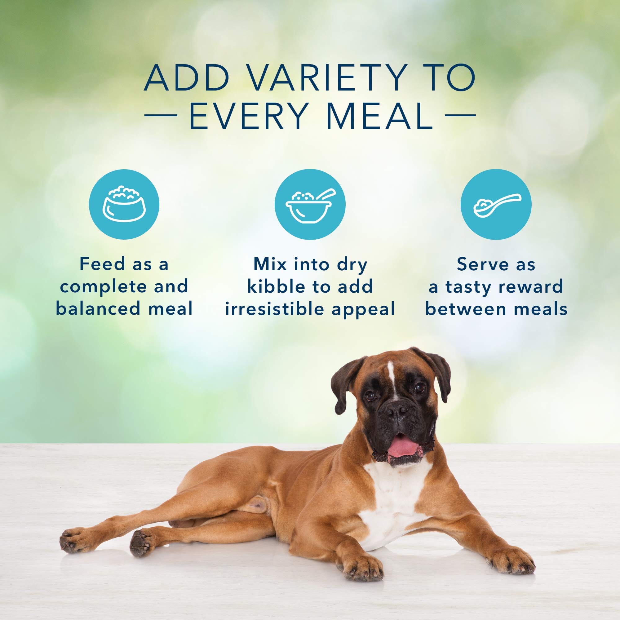 Blue Buffalo Freedom Grain-Free Lamb Adult Canned Dog Food - 12.5 Oz - Case of 12  