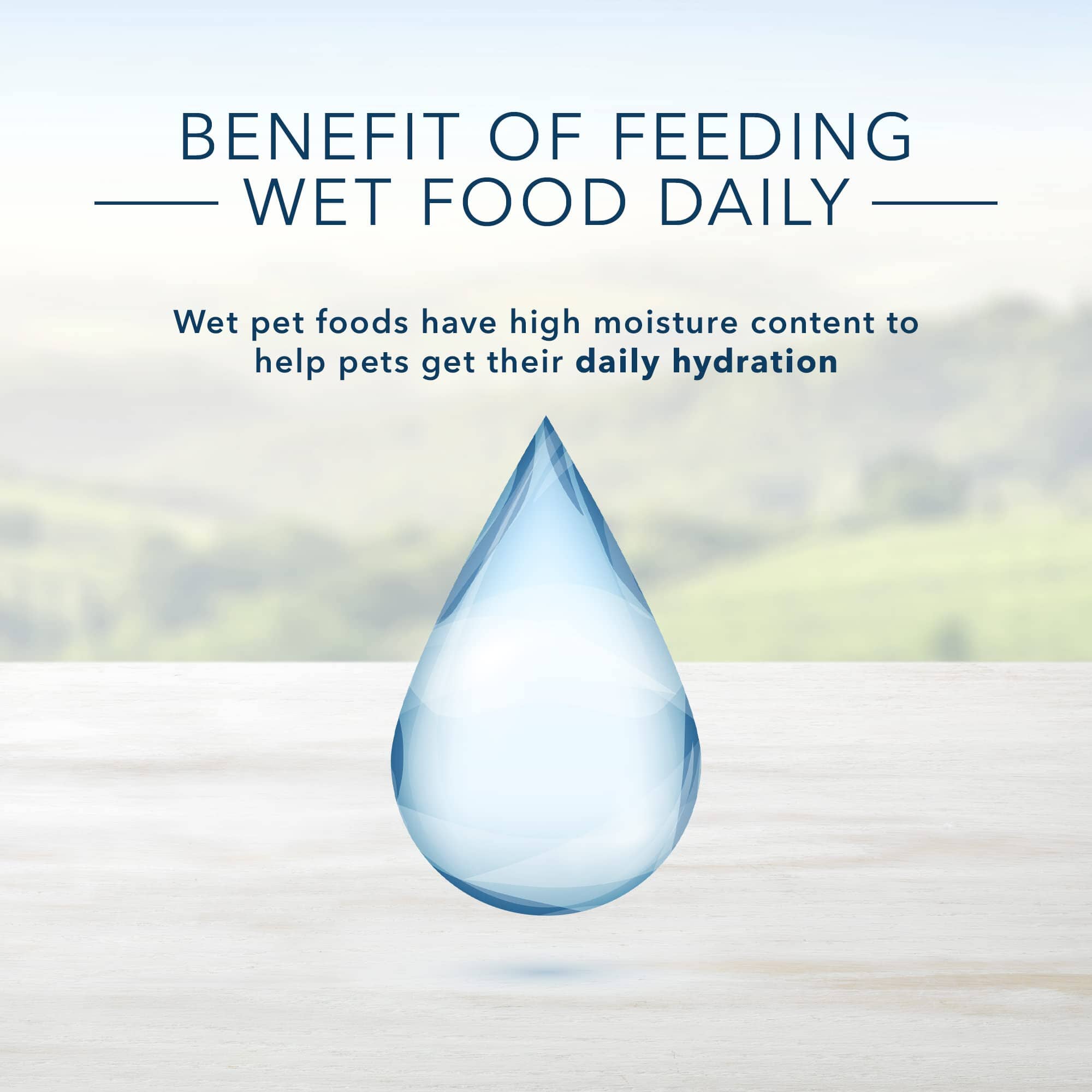 Blue Buffalo Homestyle Recipe Lamb Canned Dog Food - 12.5 Oz - Case of 12  