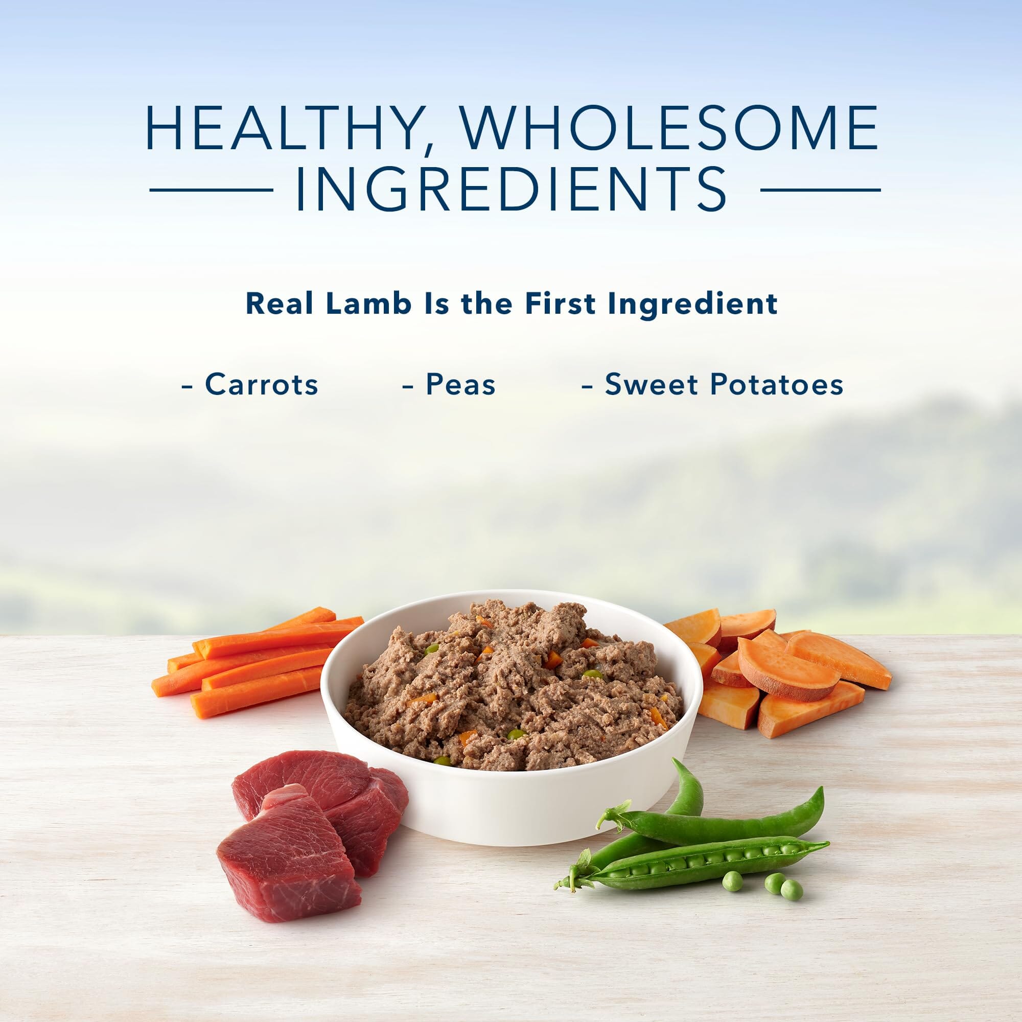 Blue Buffalo Homestyle Recipe Lamb Canned Dog Food - 12.5 Oz - Case of 12  