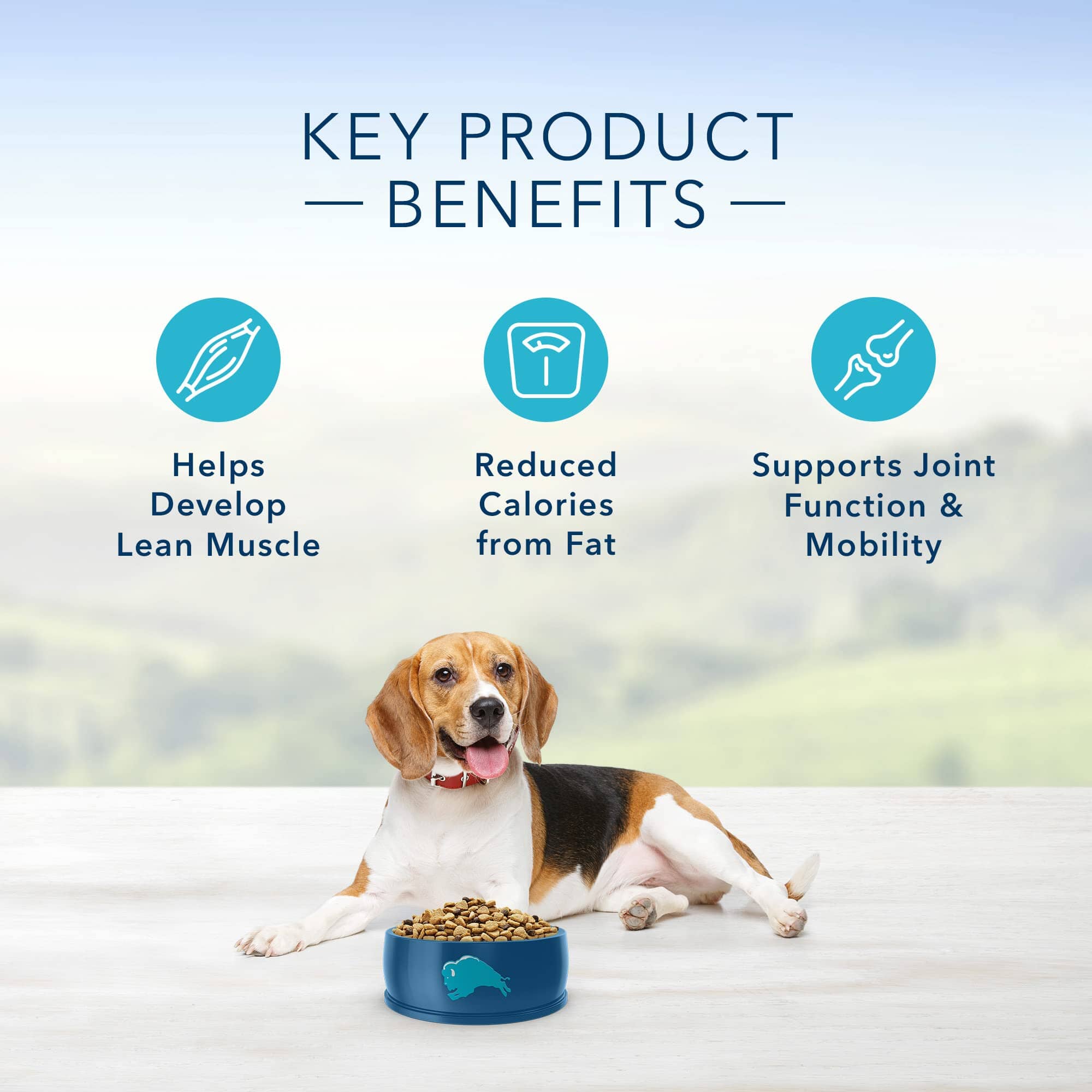 Blue Buffalo Life Protection Formula Adult Healthy Weight Natural Chicken and Brown Rice Dry Dog Food  