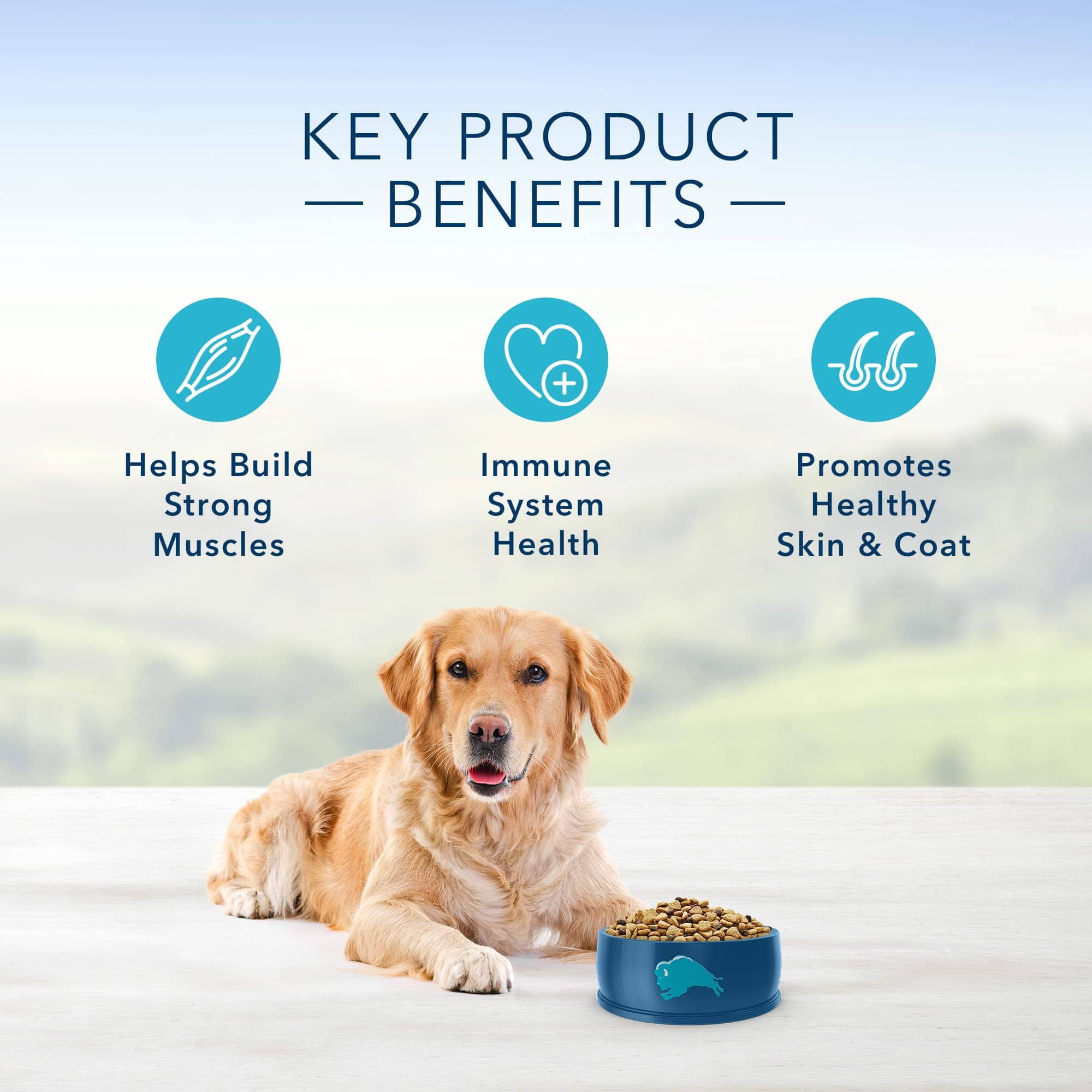 Blue Buffalo Life Protection Formula Adult Natural Chicken and Brown Rice Dry Dog Food  