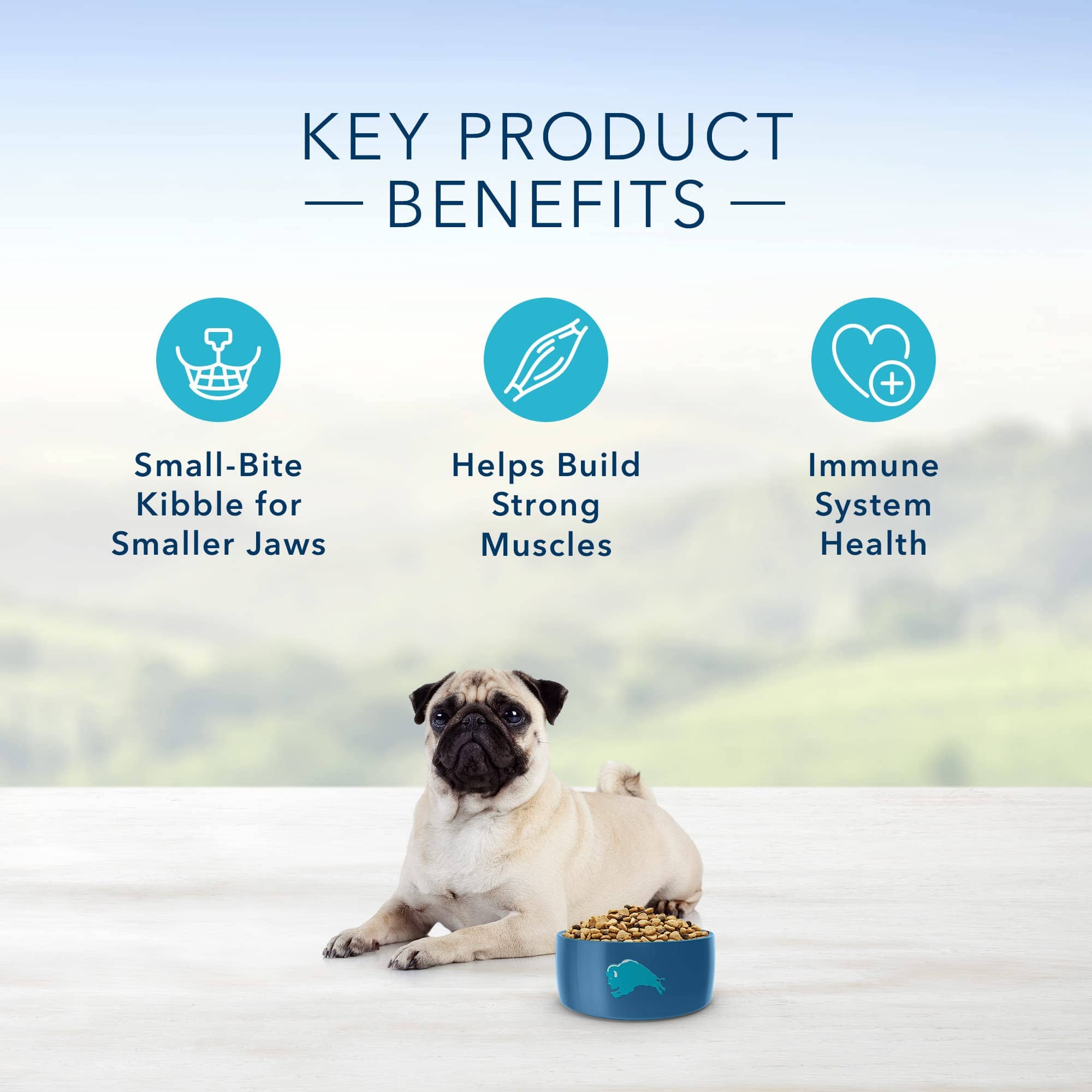 Blue Buffalo Life Protection Formula Adult Small Bite Chicken and Brown Rice Dry Dog Food  