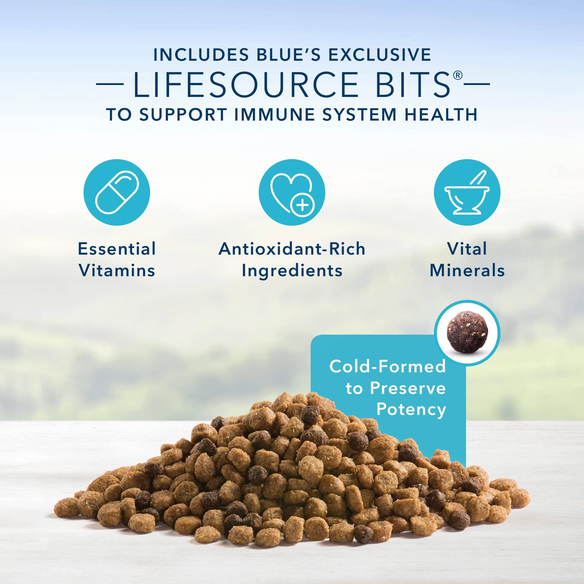 Blue Buffalo Life Protection Formula Adult Small Bite Chicken and Brown Rice Dry Dog Food  