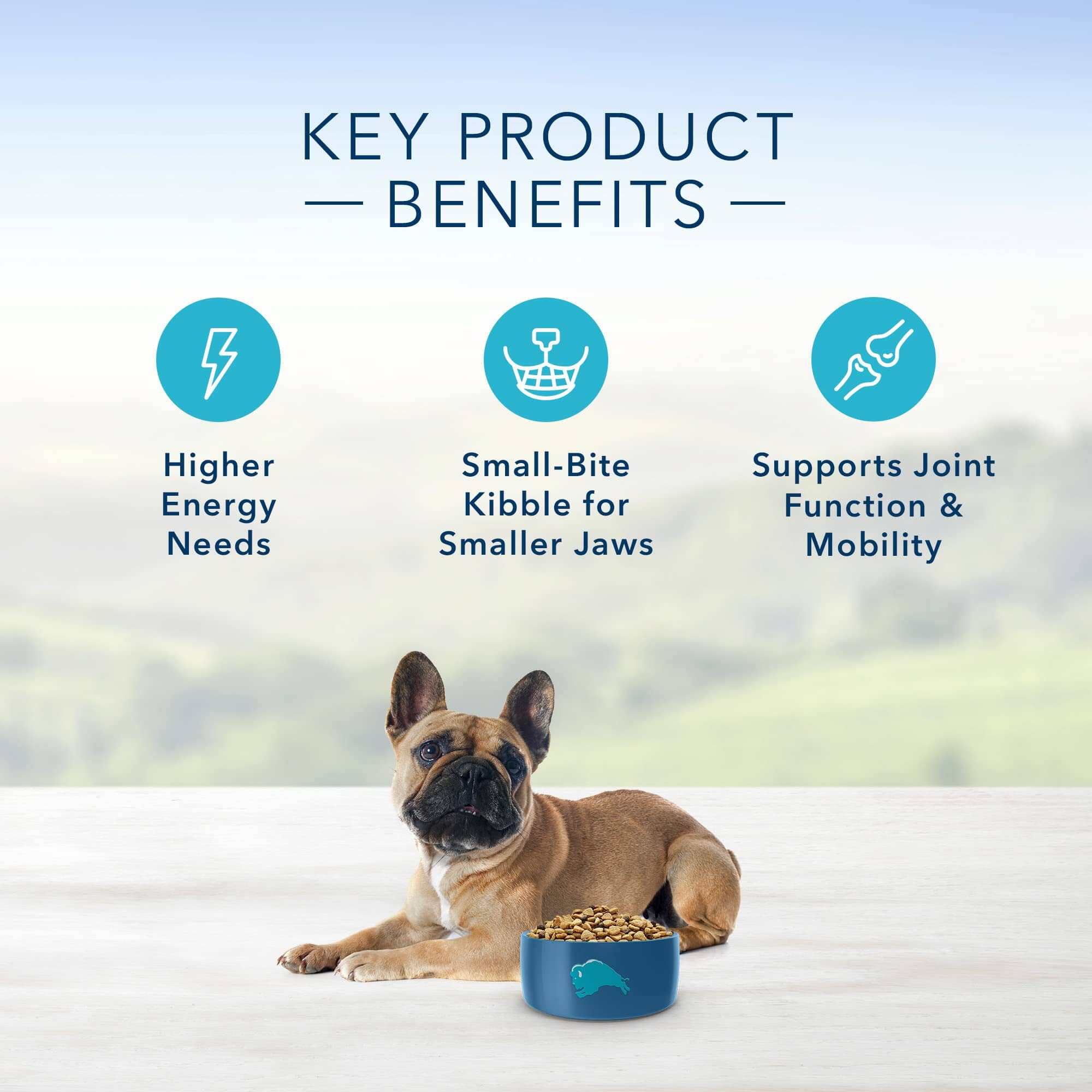 Blue Buffalo Life Protection Formula Adult Small-Breed Chicken and Brown Rice Dry Dog Food  