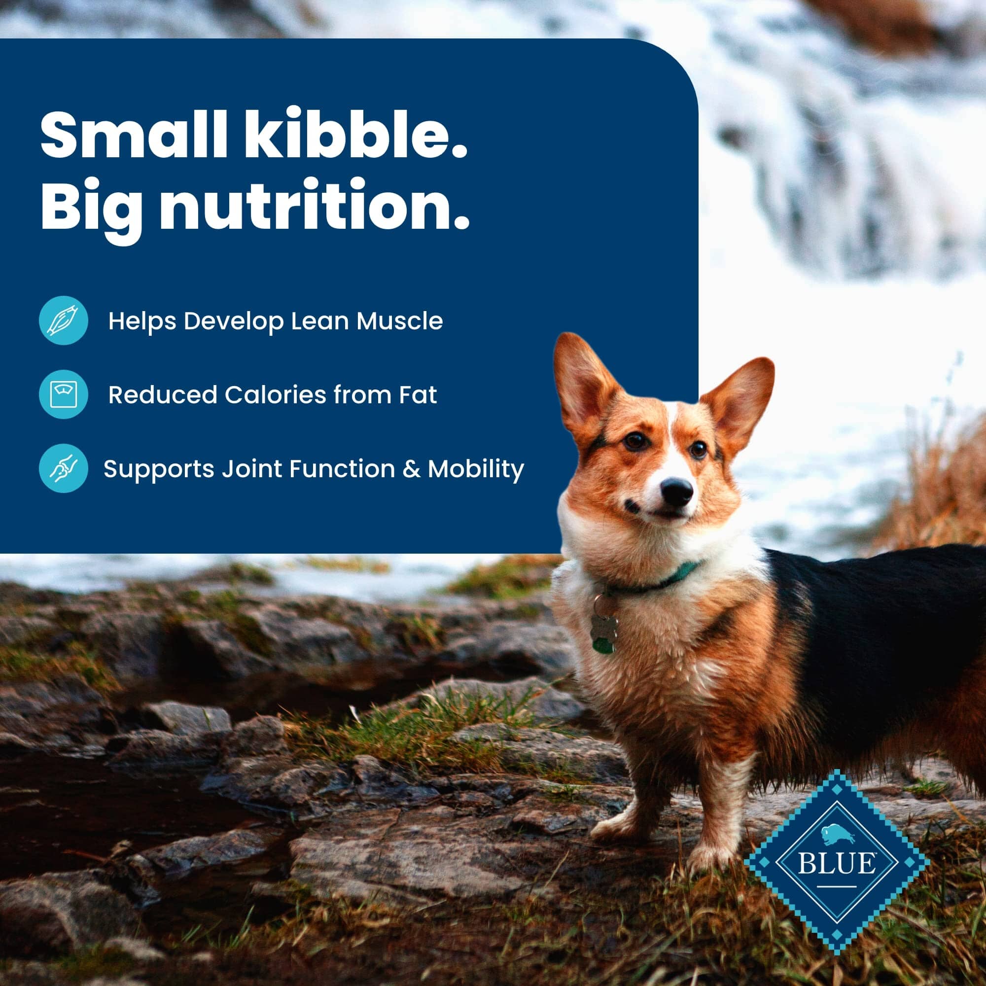 Blue Buffalo Life Protection Formula Adult Small-Breed Healthy Weight Chicken and Brown Rice Dry Dog Food  