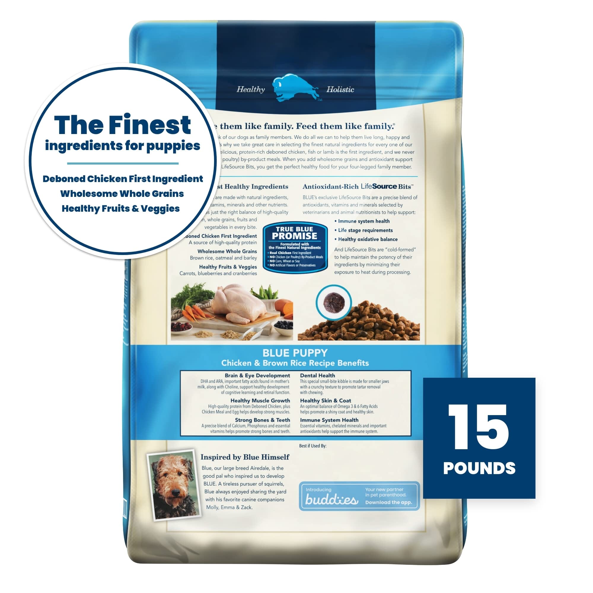 Blue Buffalo Life Protection Formula Chicken and Brown Rice Puppy Dry Dog Food  