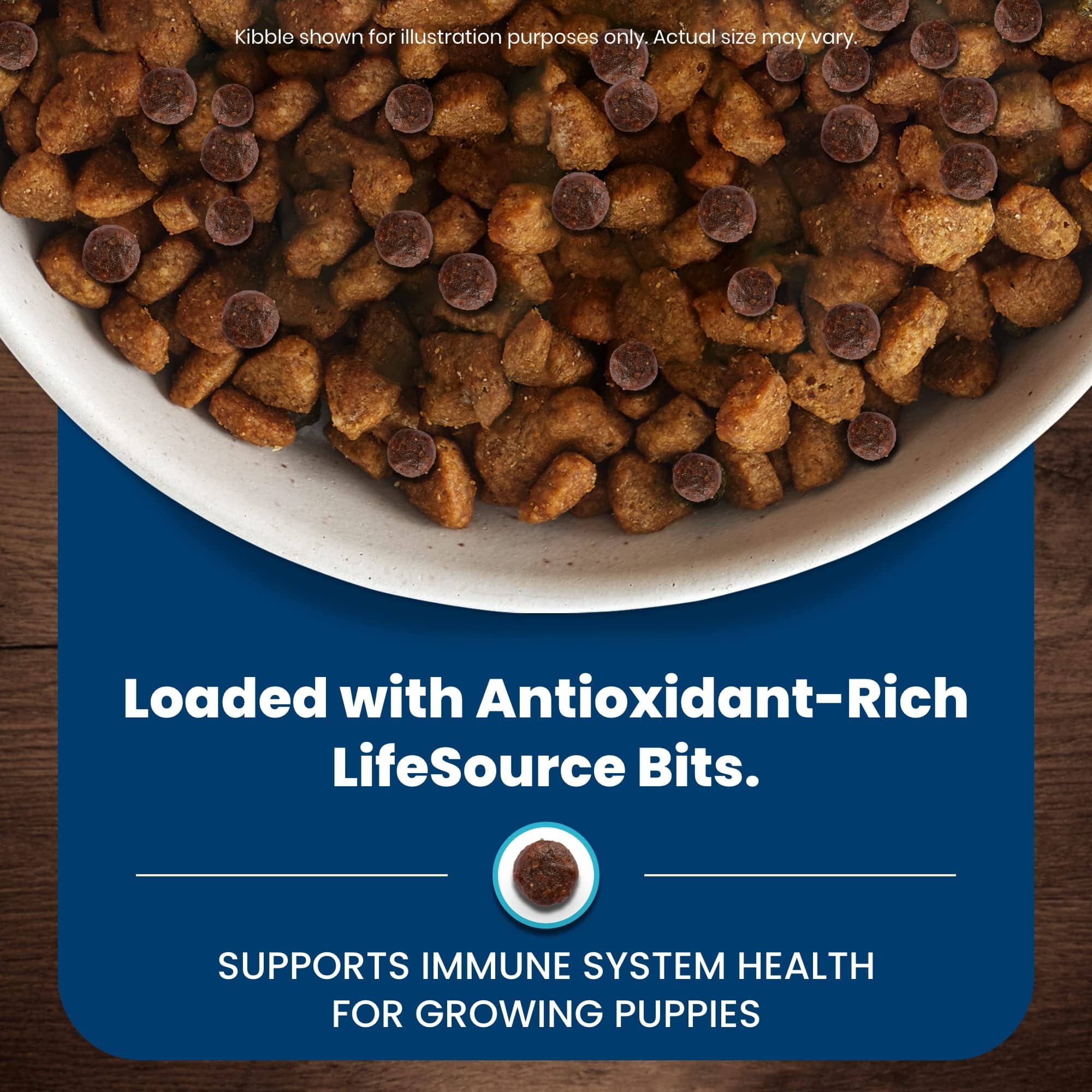 Blue Buffalo Life Protection Formula Chicken and Brown Rice Puppy Dry Dog Food  