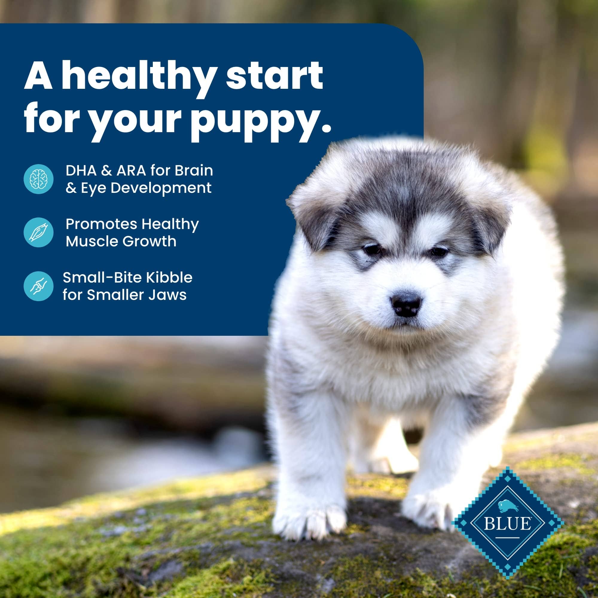 Blue Buffalo Life Protection Formula Chicken and Brown Rice Puppy Dry Dog Food  
