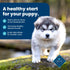 Blue Buffalo Life Protection Formula Chicken and Brown Rice Puppy Dry Dog Food  