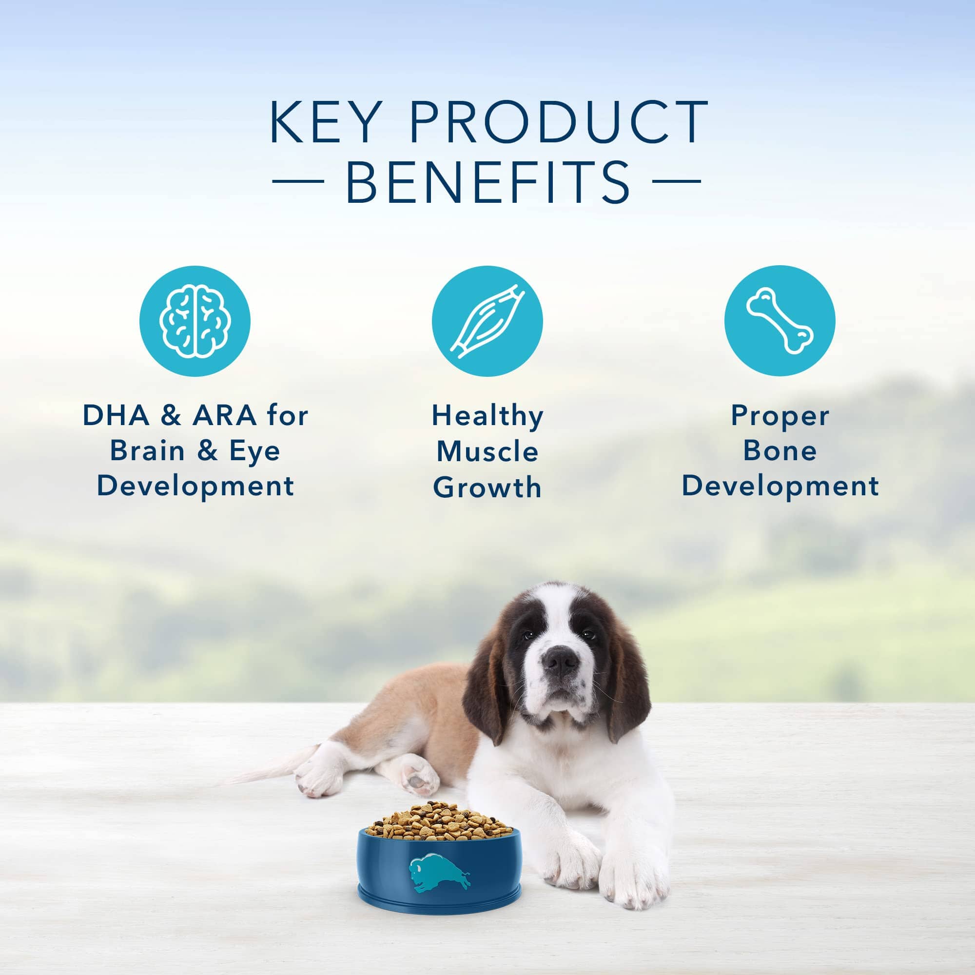 Blue Buffalo Life Protection Formula Puppy Large-Breed Natural Chicken and Brown Rice Dry Dog Food  