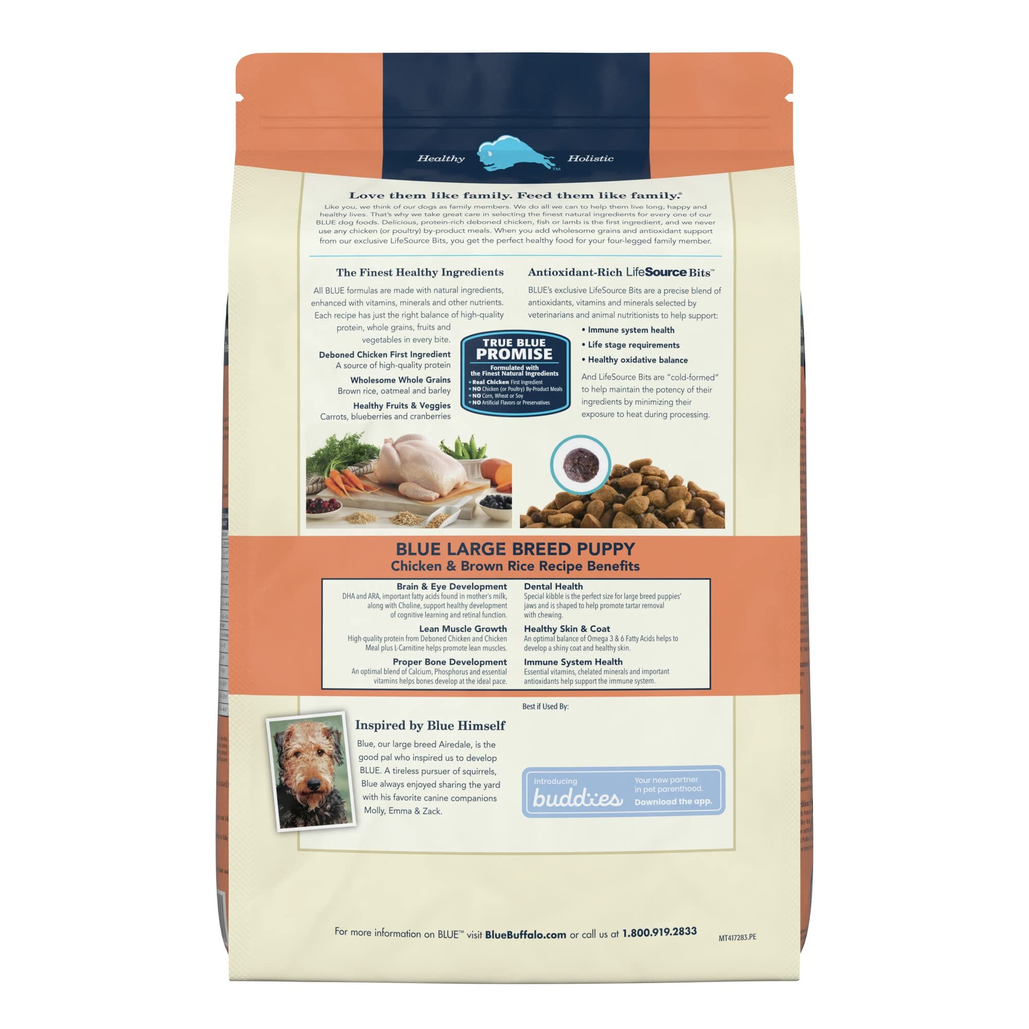 Blue Buffalo Life Protection Formula Puppy Large-Breed Natural Chicken and Brown Rice Dry Dog Food  