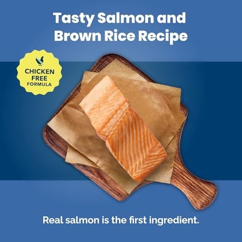 Blue Buffalo Life Protection Formula Salmon and Brown Rice Adult Dry Dog Food - 5 Lbs