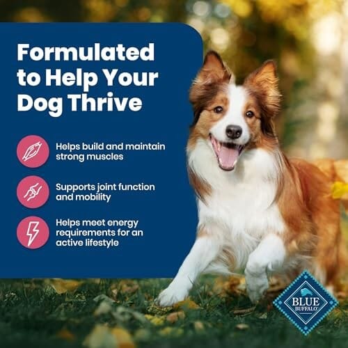 Blue Buffalo Life Protection Formula Salmon and Brown Rice Adult Dry Dog Food