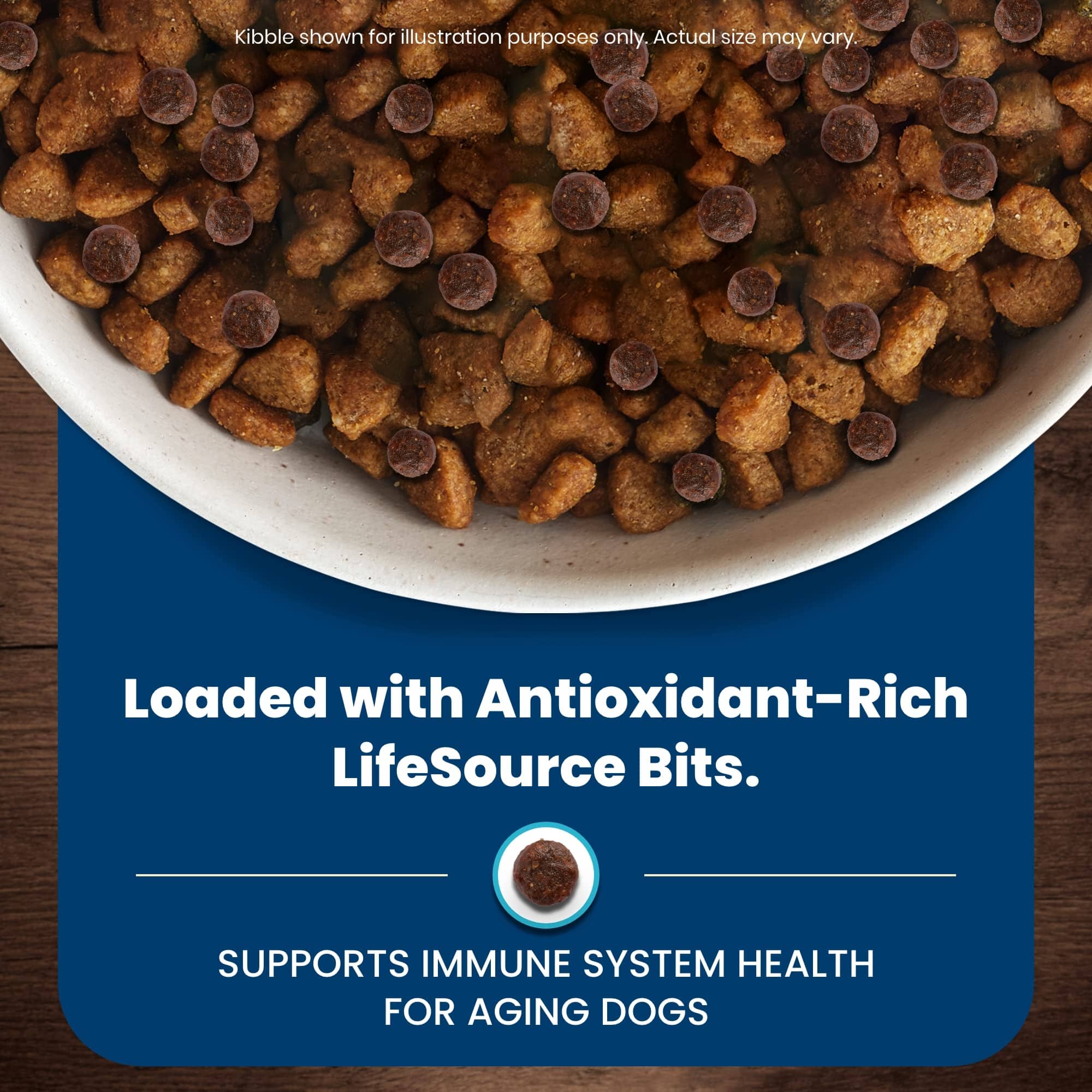 Blue Buffalo Life Protection Formula Senior Natural Chicken and Brown Rice Dry Dog Food  